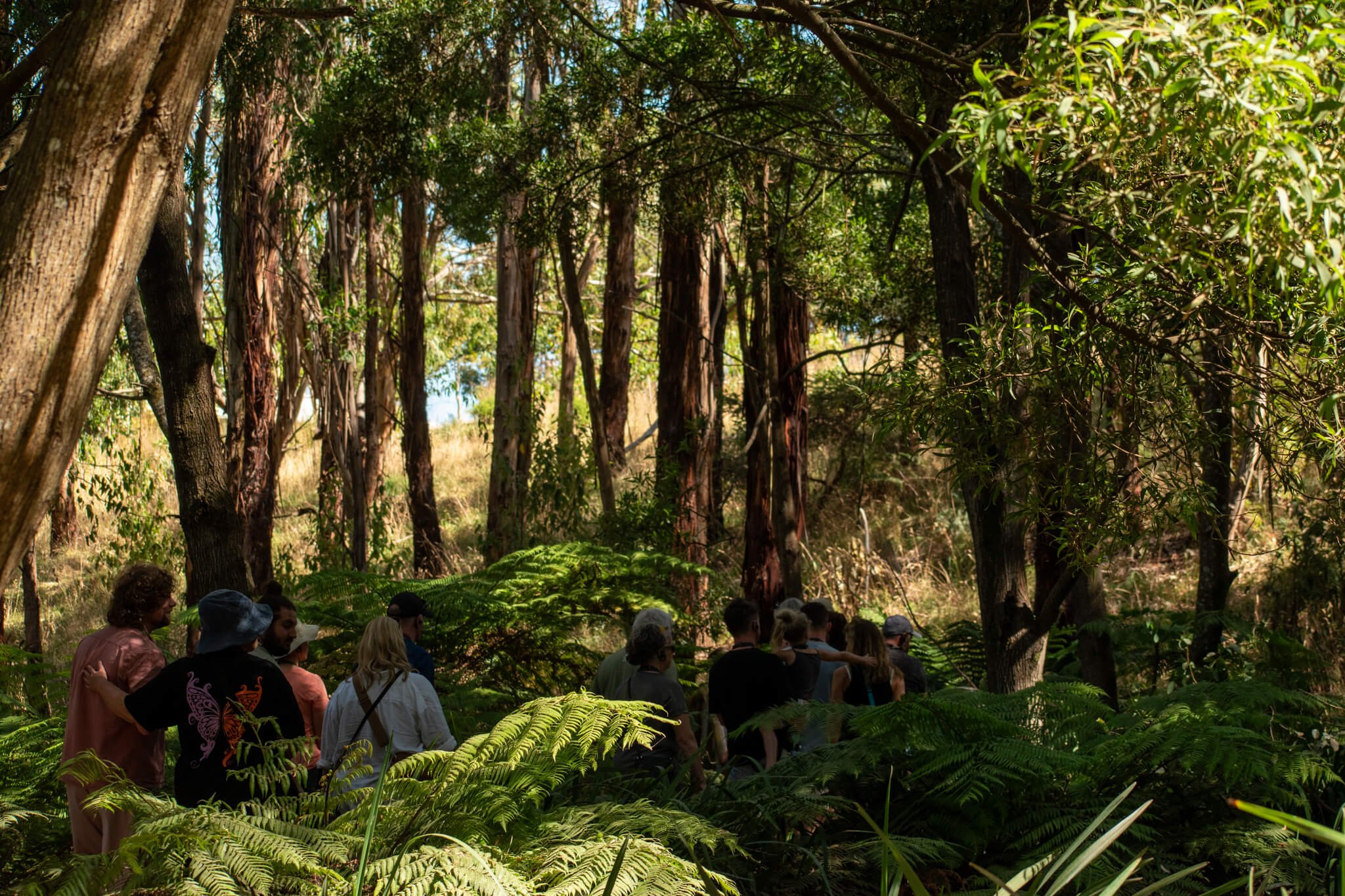 Rise with Wildlife Tour at Wildlife Wonders Apollo Bay.jpg