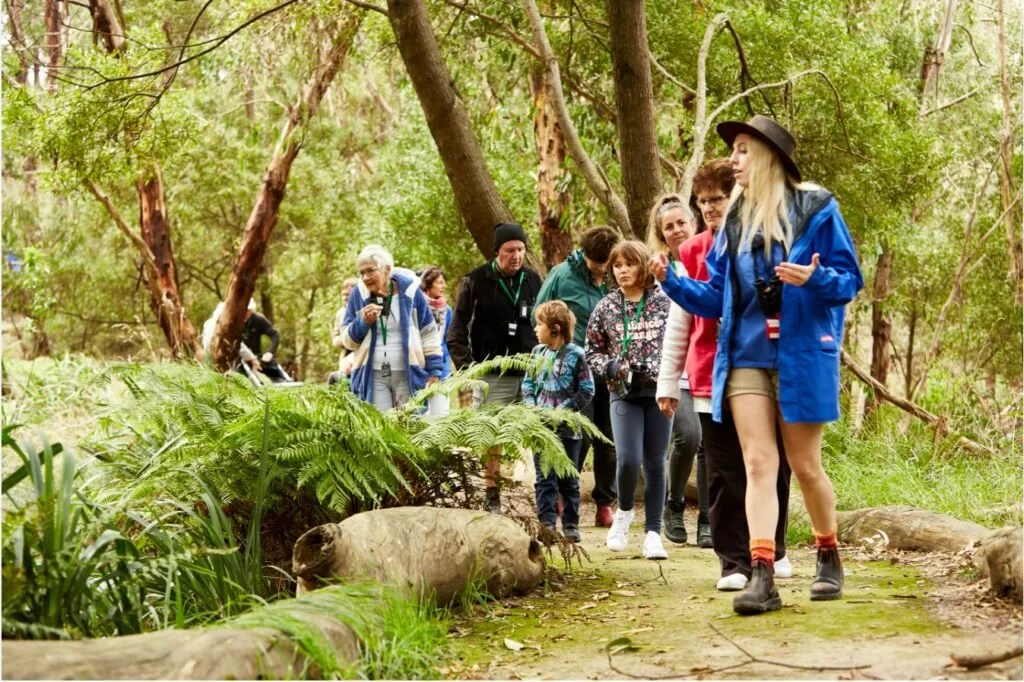 A group of people walking on a forest trail with lush greenery, led by a guide in a blue jacket and hat. Various individuals, including adults and children, are visible along the path.