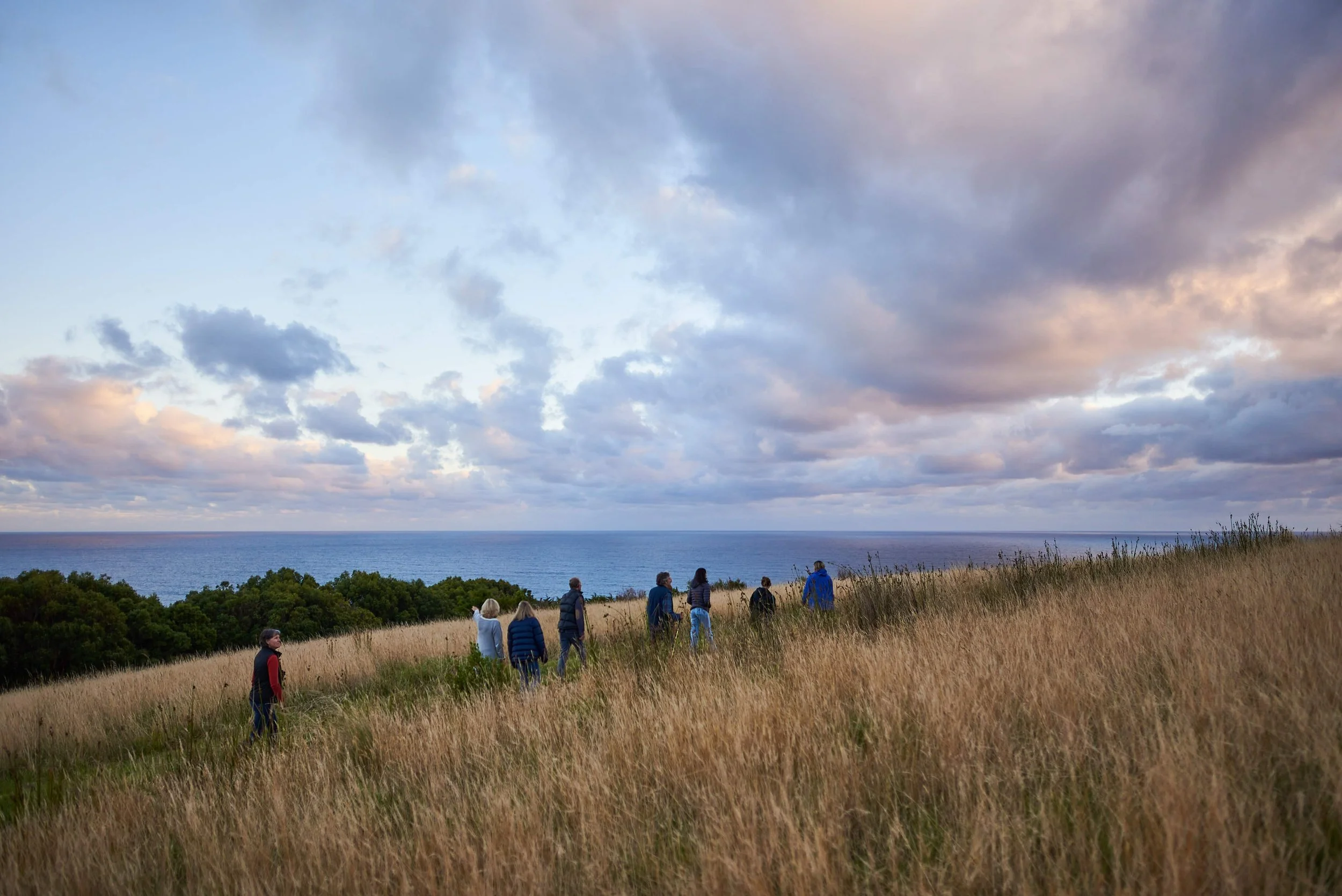 Sunset at hilltop Dusk Discovery Tour_Wildlife Wonders Apollo Bay.jpg