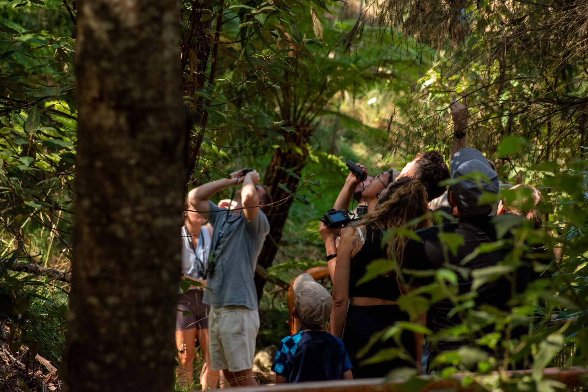 Rise with Wildlife Tour at Wildlife Wonders.jpg