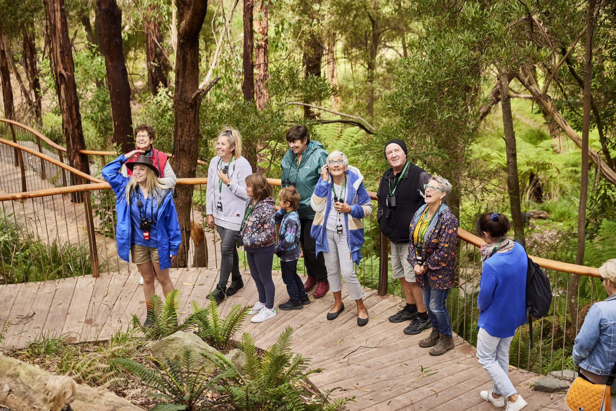 Group of people on a forest boardwalk, looking up and enjoying nature, surrounded by tall trees and greenery.