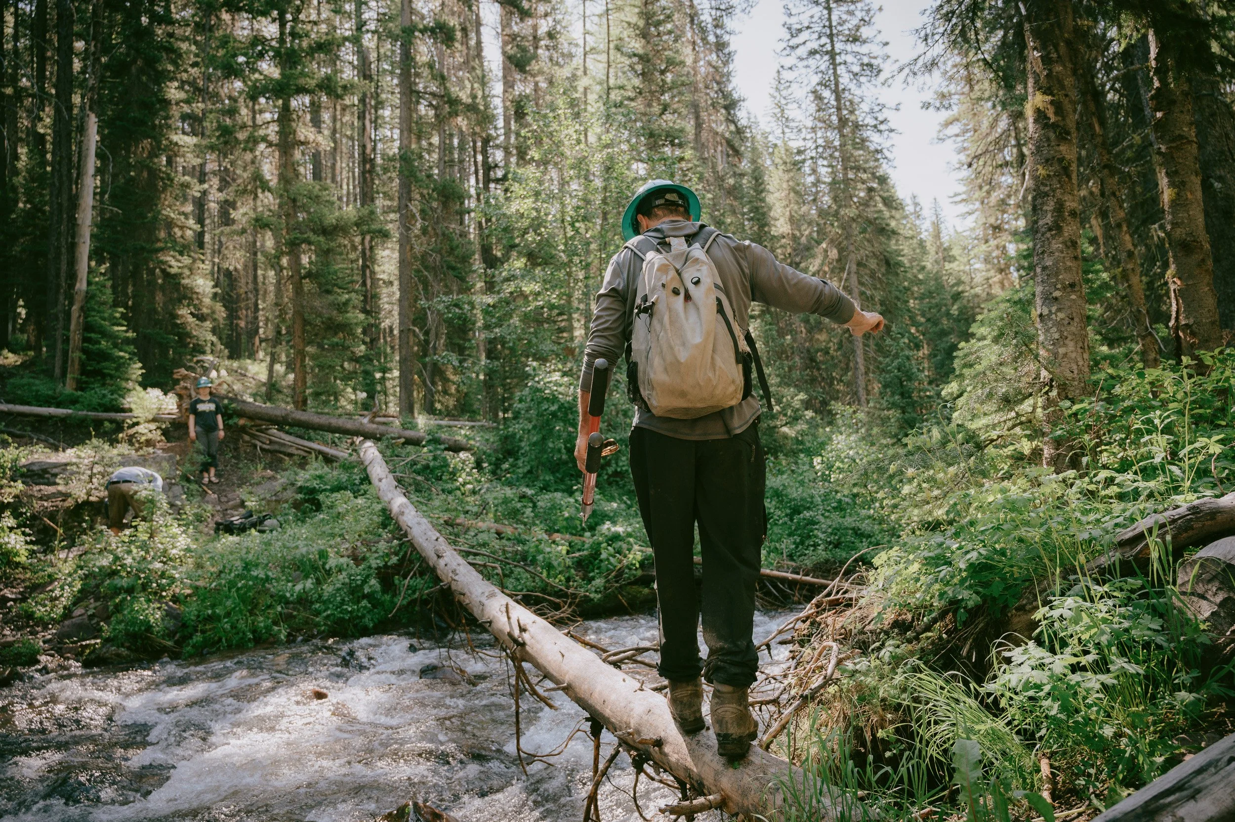 wilderness-20.jpg