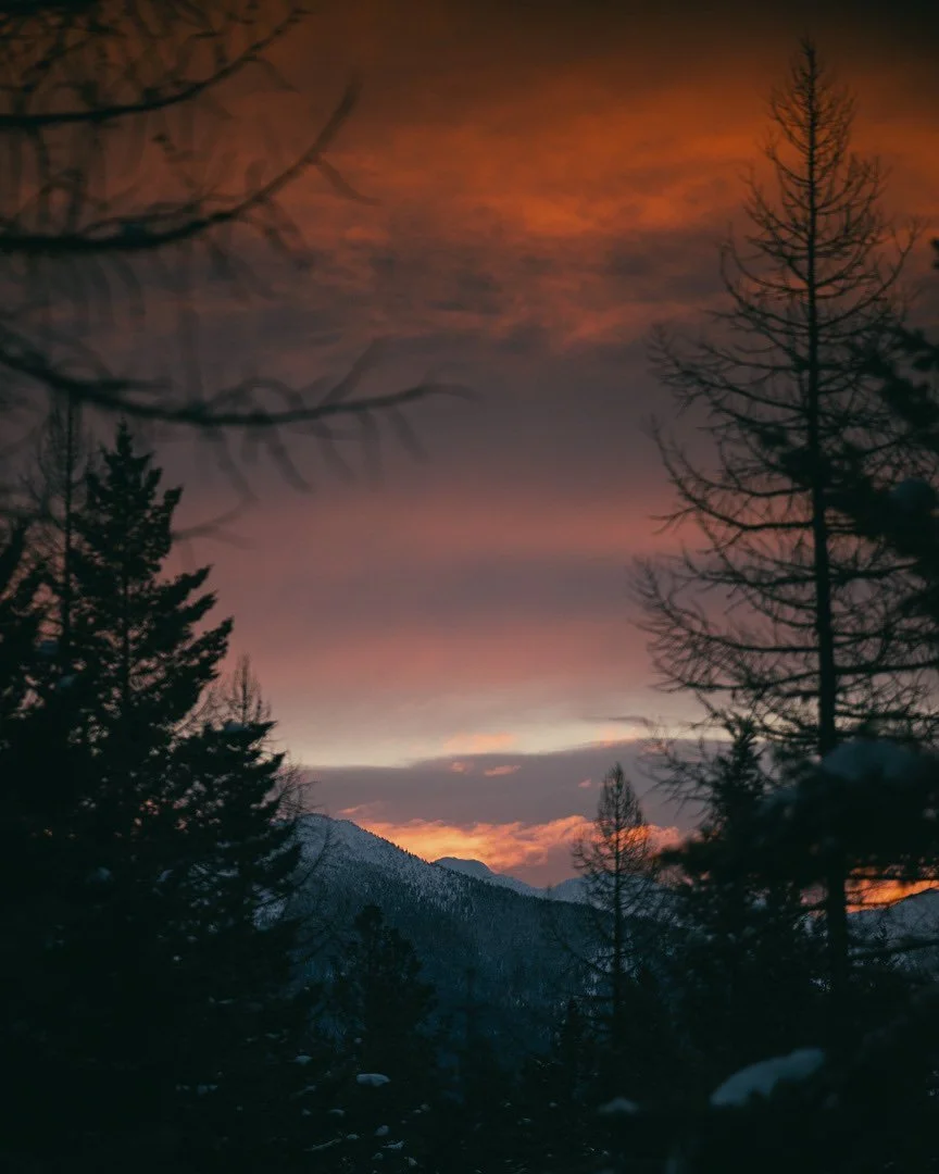 Two views from my windows this morning.