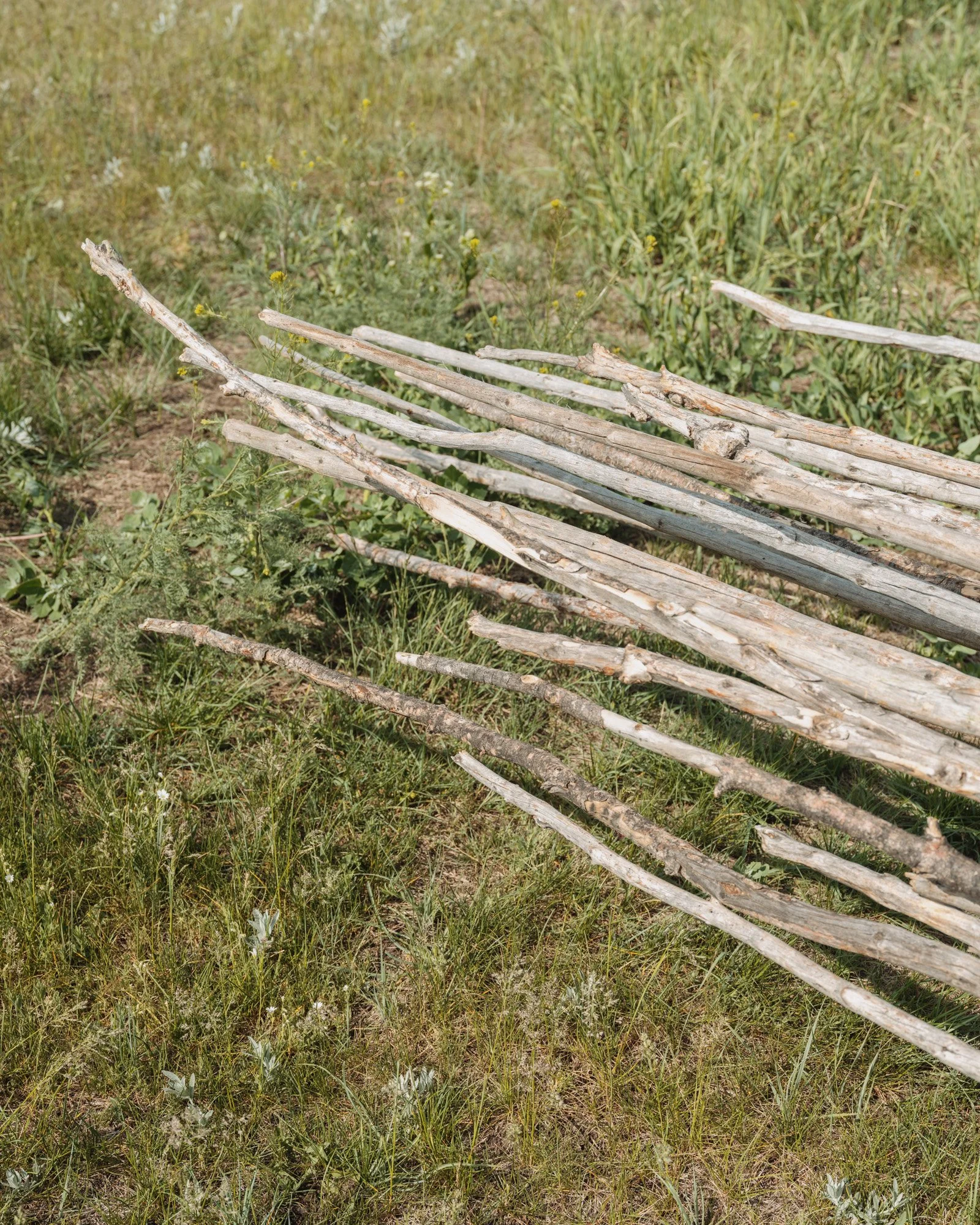 blackfeet food-6561.jpg