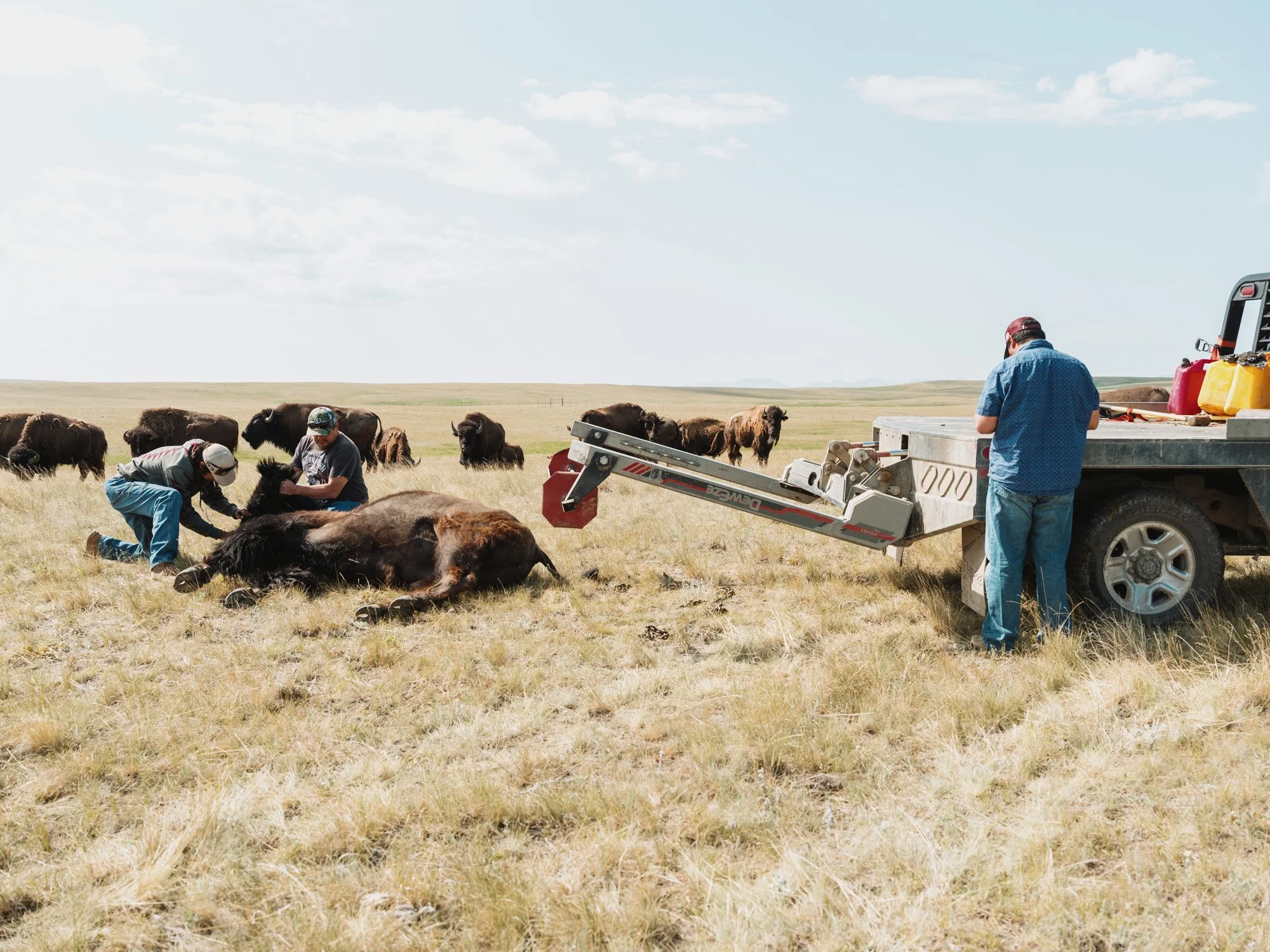 blackfeet food-6932.jpg