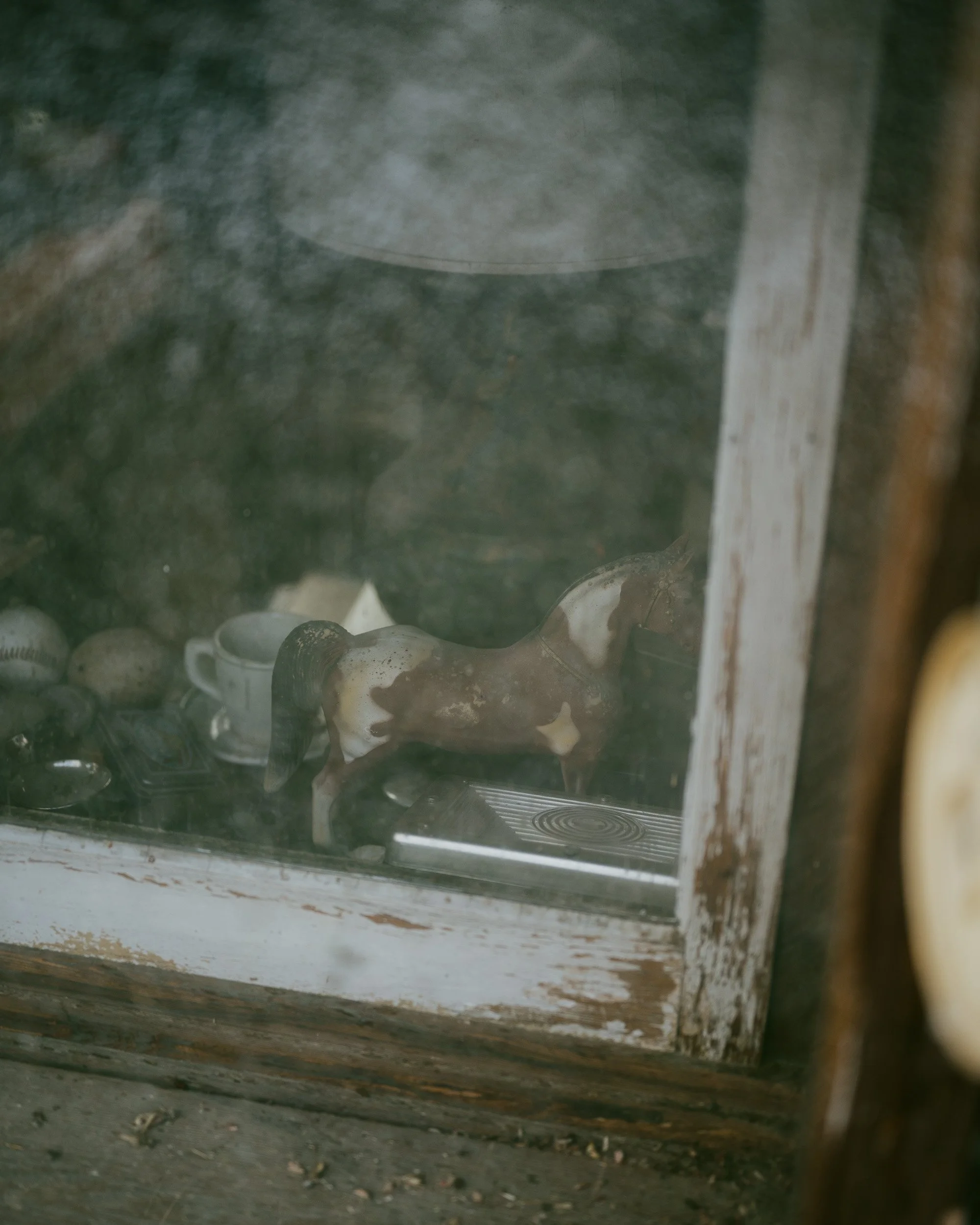 wilderness-9.jpg