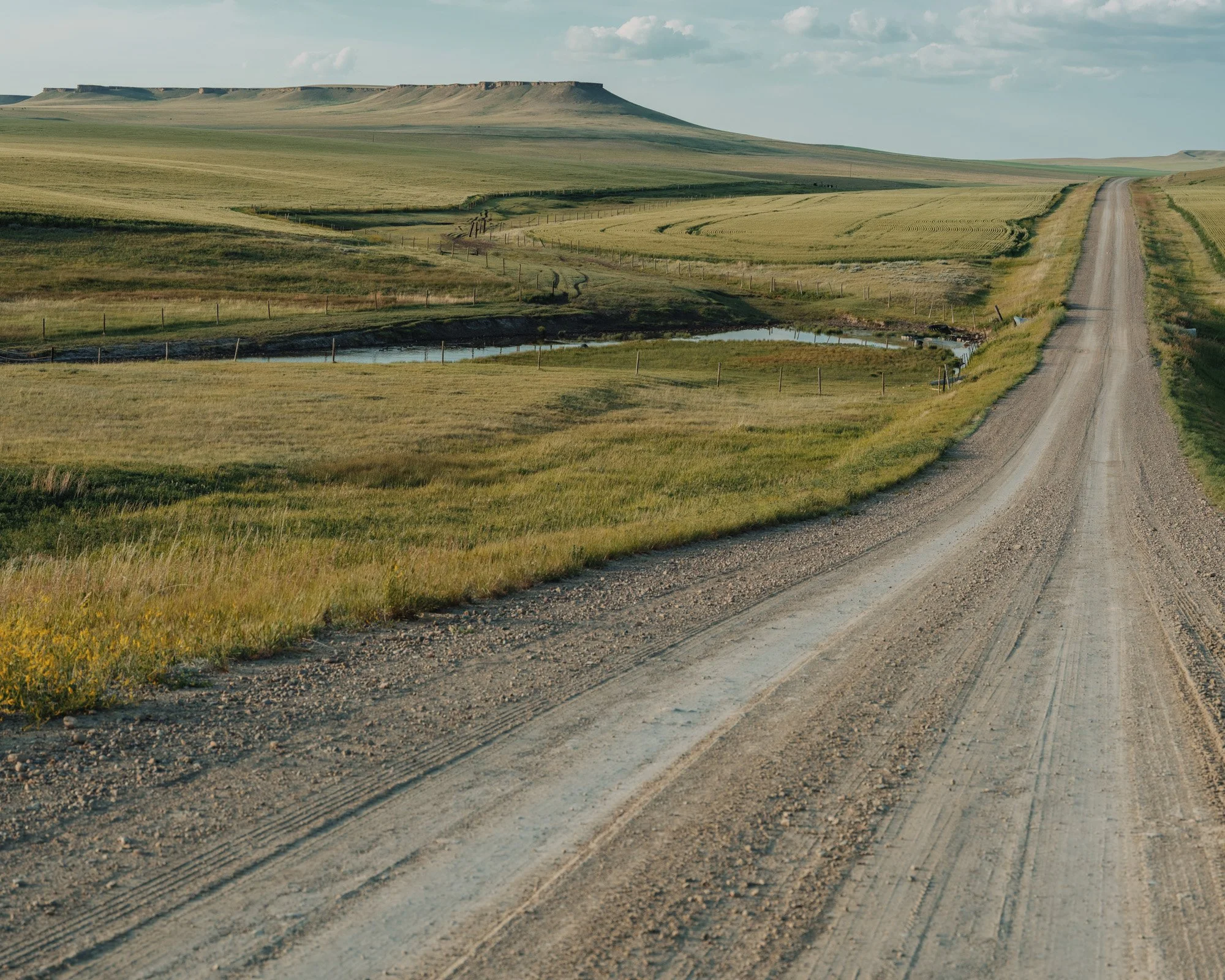 blackfeet food-7441.jpg