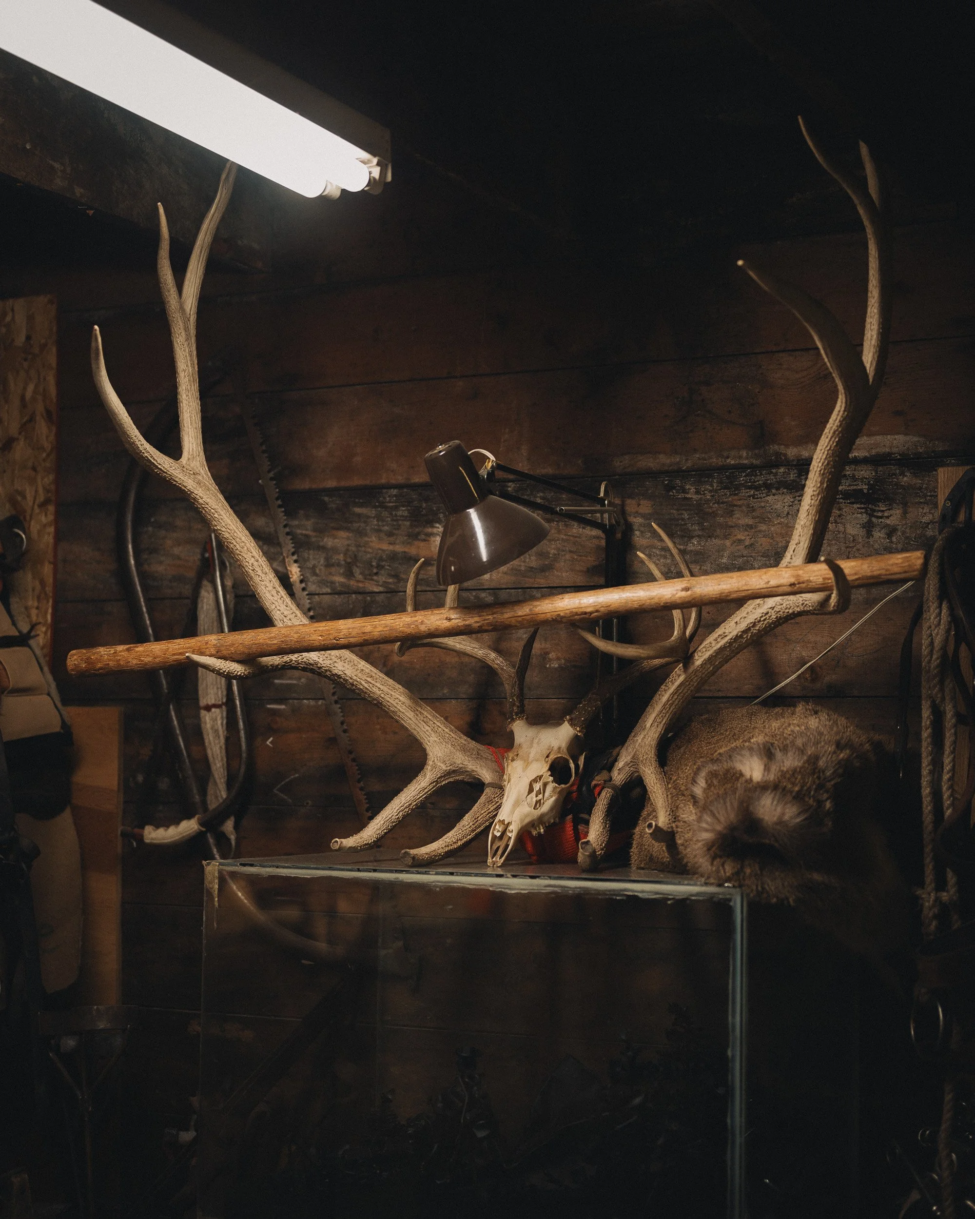 wilderness-12.jpg
