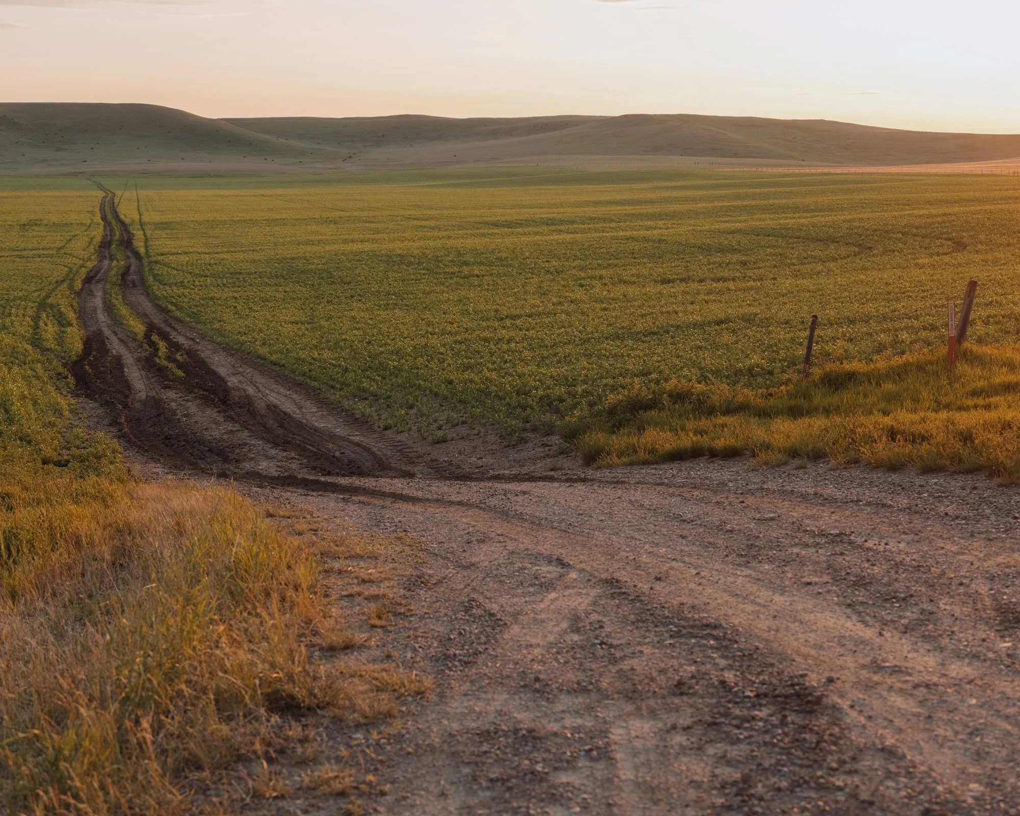 blackfeet food-7487.jpg