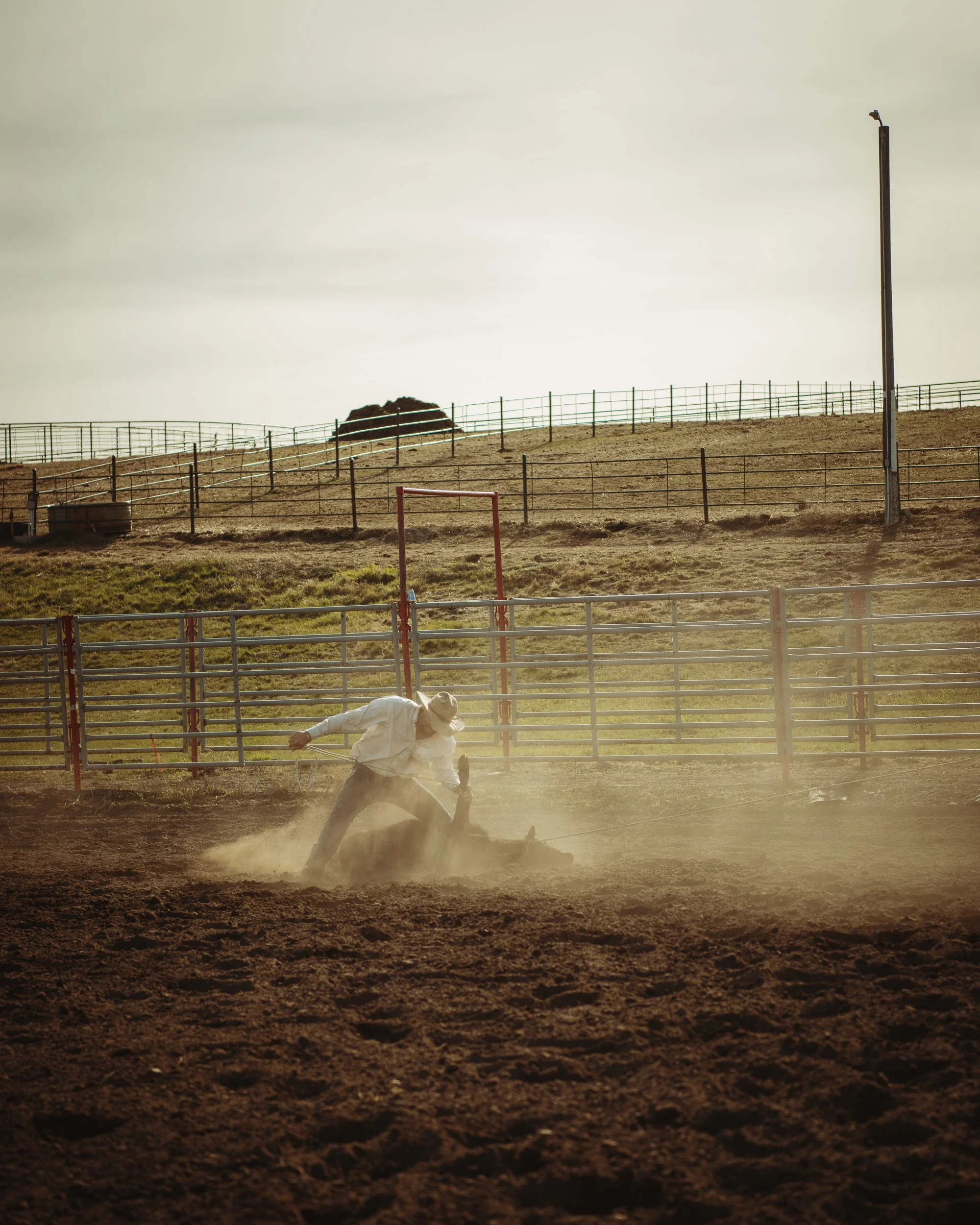 Roping-8.jpg
