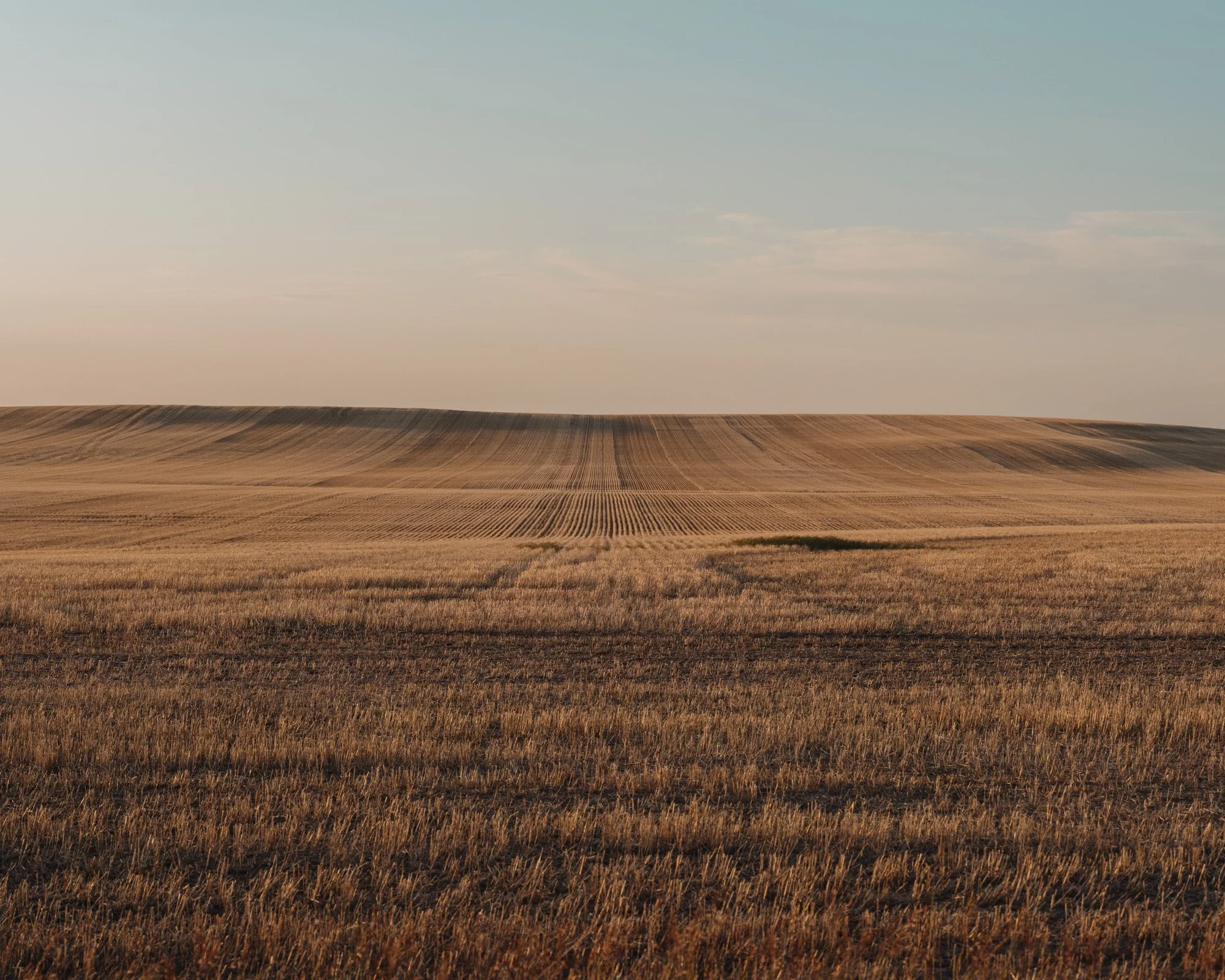 blackfeet food-7479.jpg