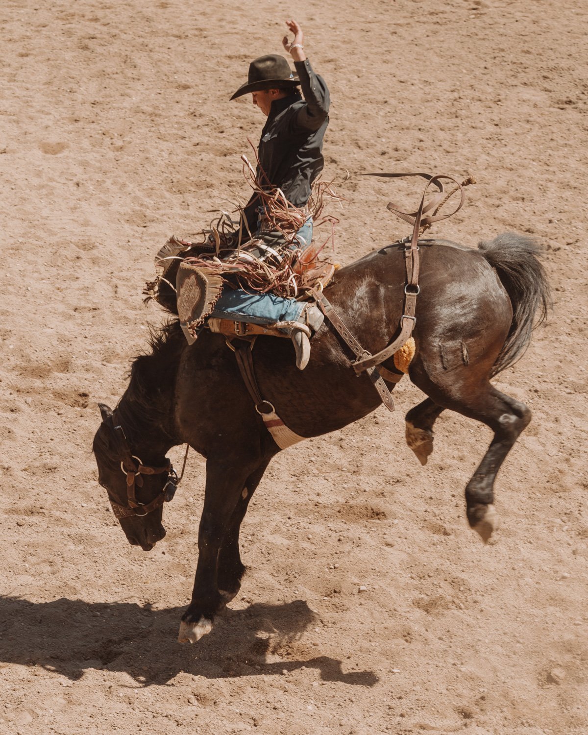 agosto_wsj_rodeo-8007.jpg