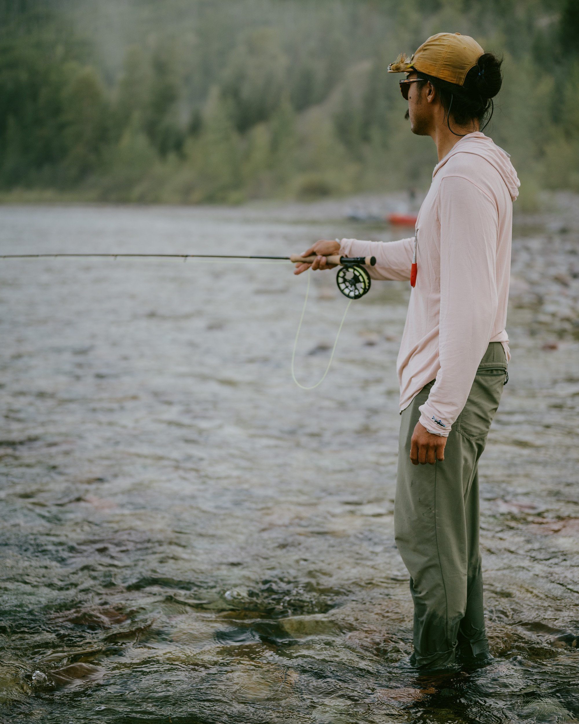 hardy-19.jpg