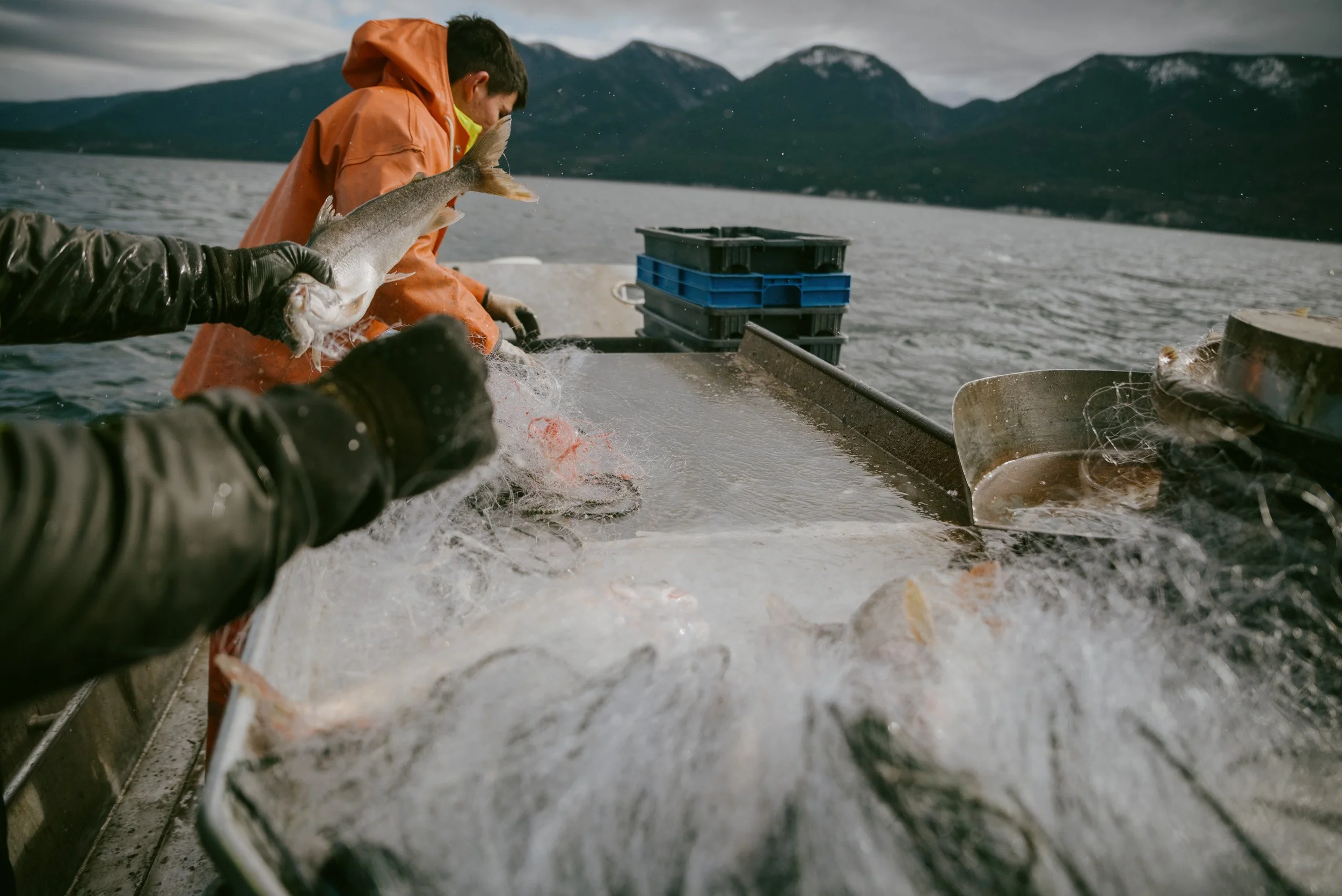 flathead lake-13.jpg