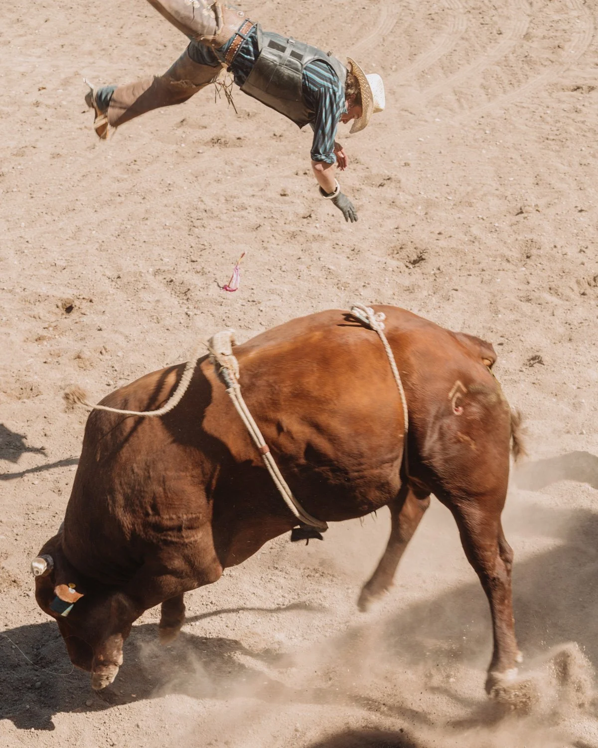 agosto_wsj_rodeo-8192.jpg