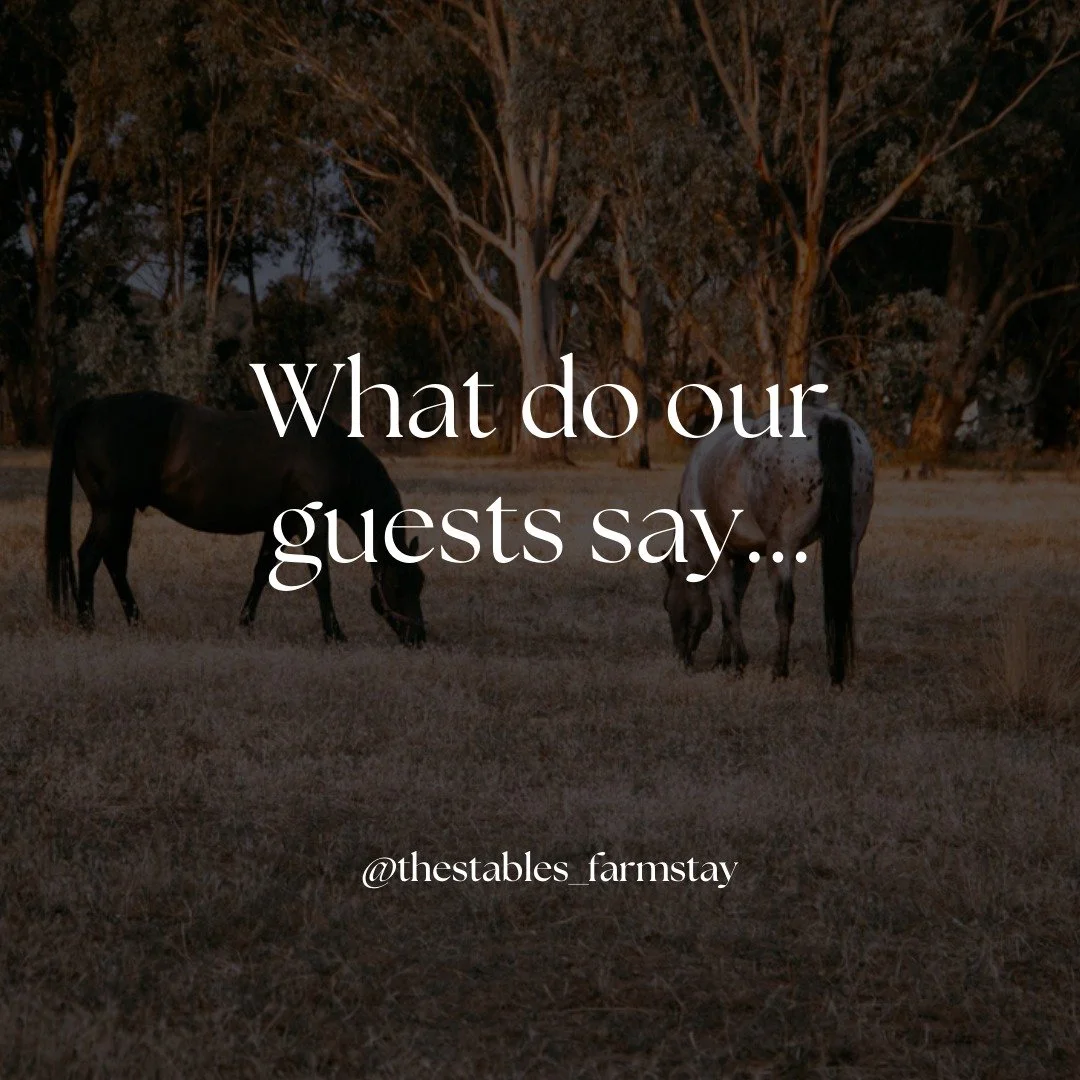 Nothing fills our hearts more than this&hellip; 💛

We pour so much love into sharing the beauty and simplicity of farm life and hearing how much you and your families enjoy it means the world to us.

Here&rsquo;s what a few of our recent guests had 