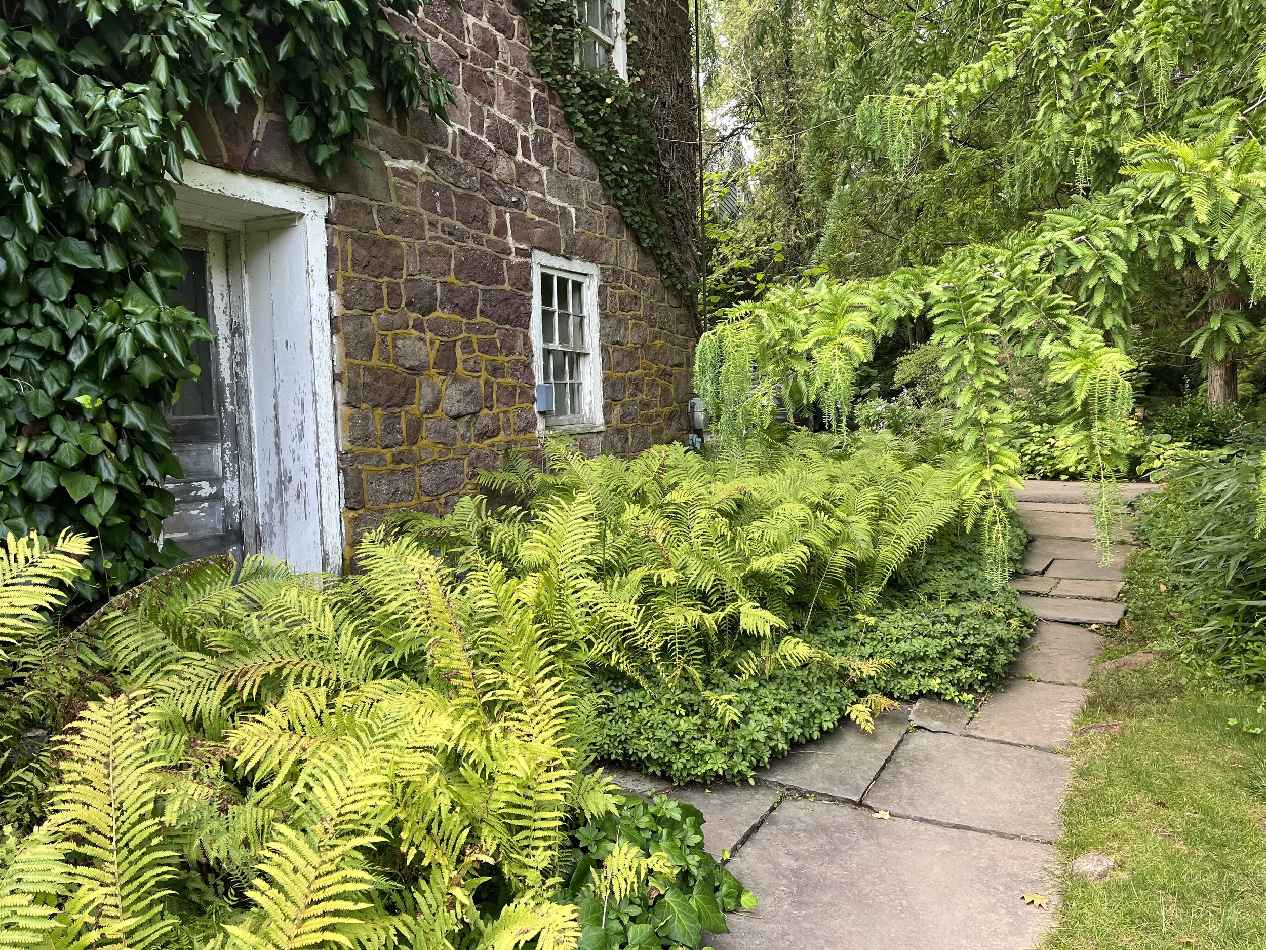 Stone walled home with verdant ferns lining a pathway to the front door and beyond.