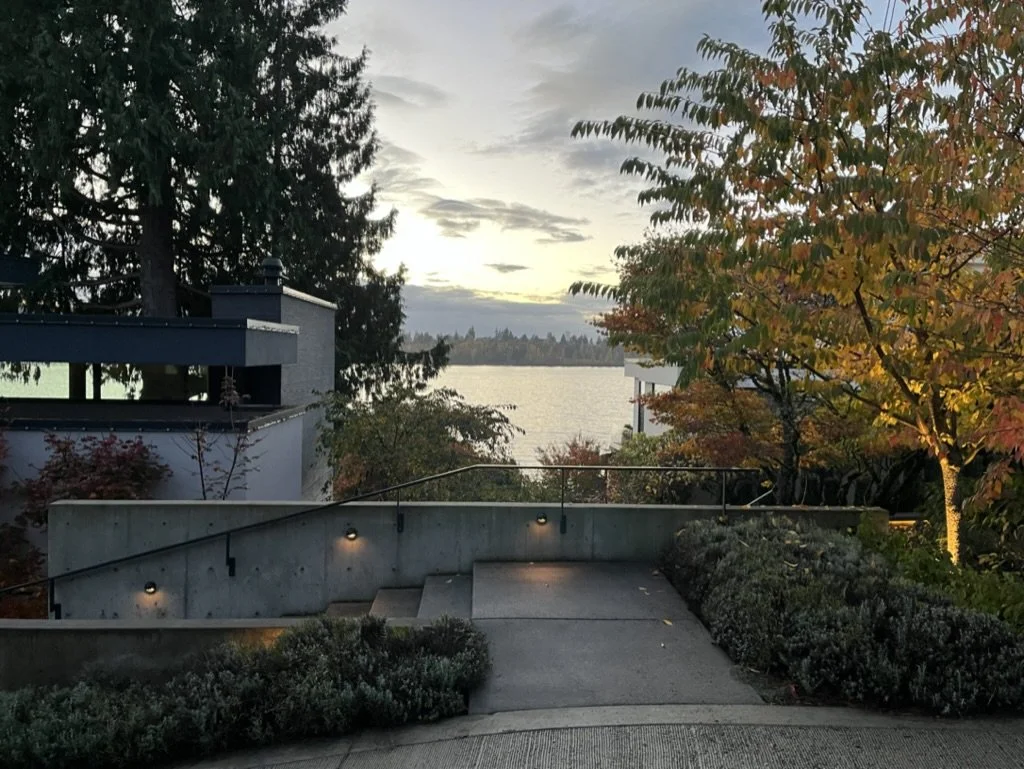 Entry steps and lake view terrace — Enetai