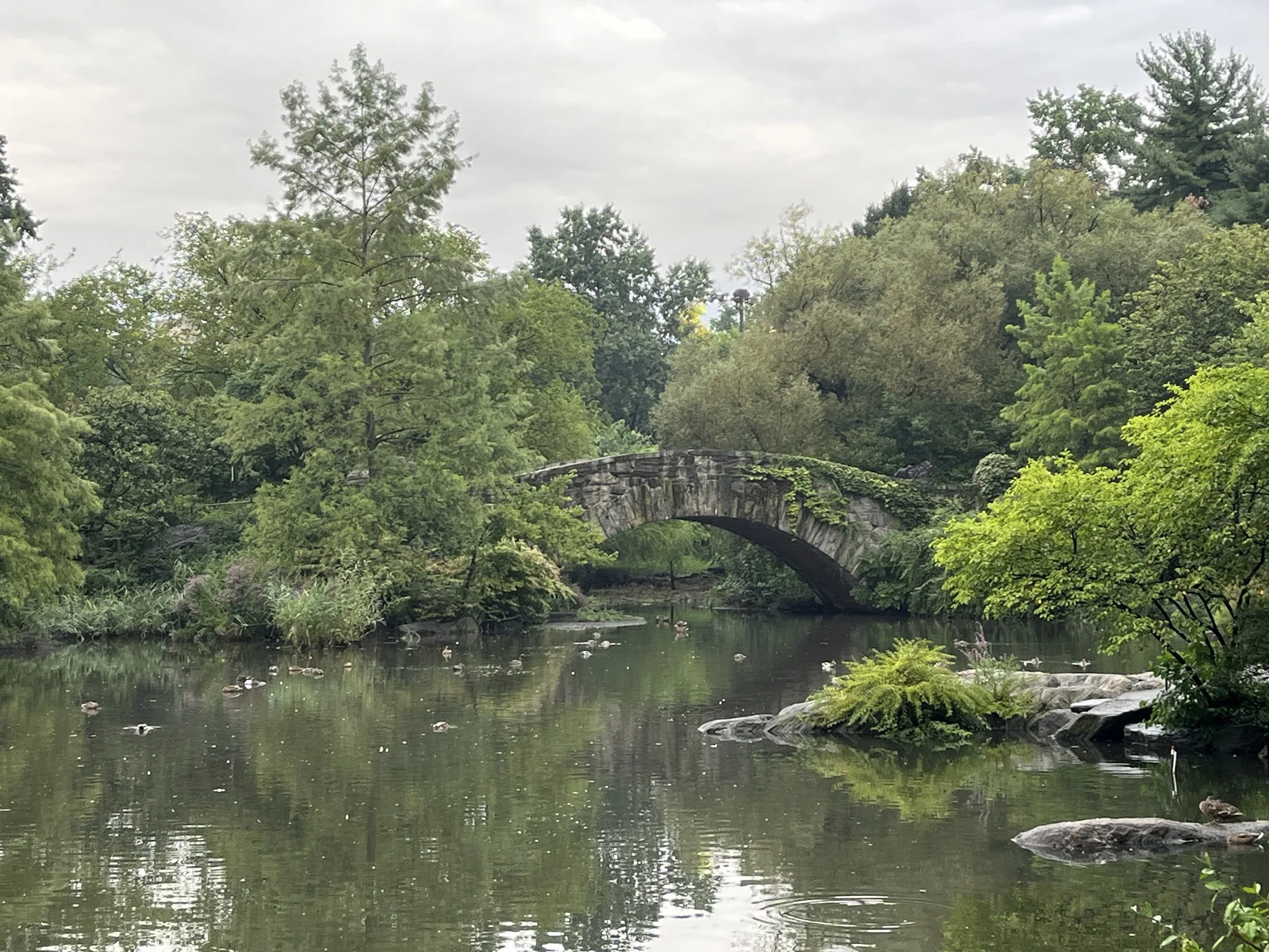 A peaceful park scene featuring a stone bridge over a calm river, surrounded by lush green trees and rocks with ducks swimming.