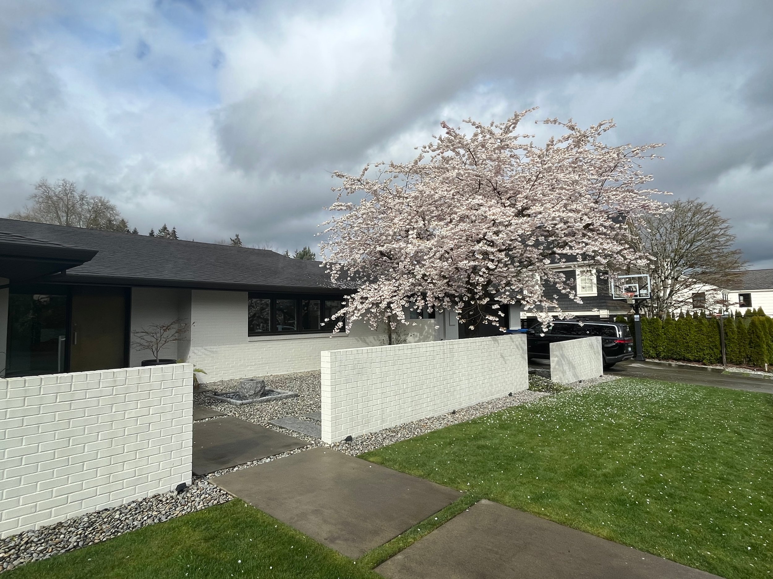 Entry courtyard —  Broadmoor Residence