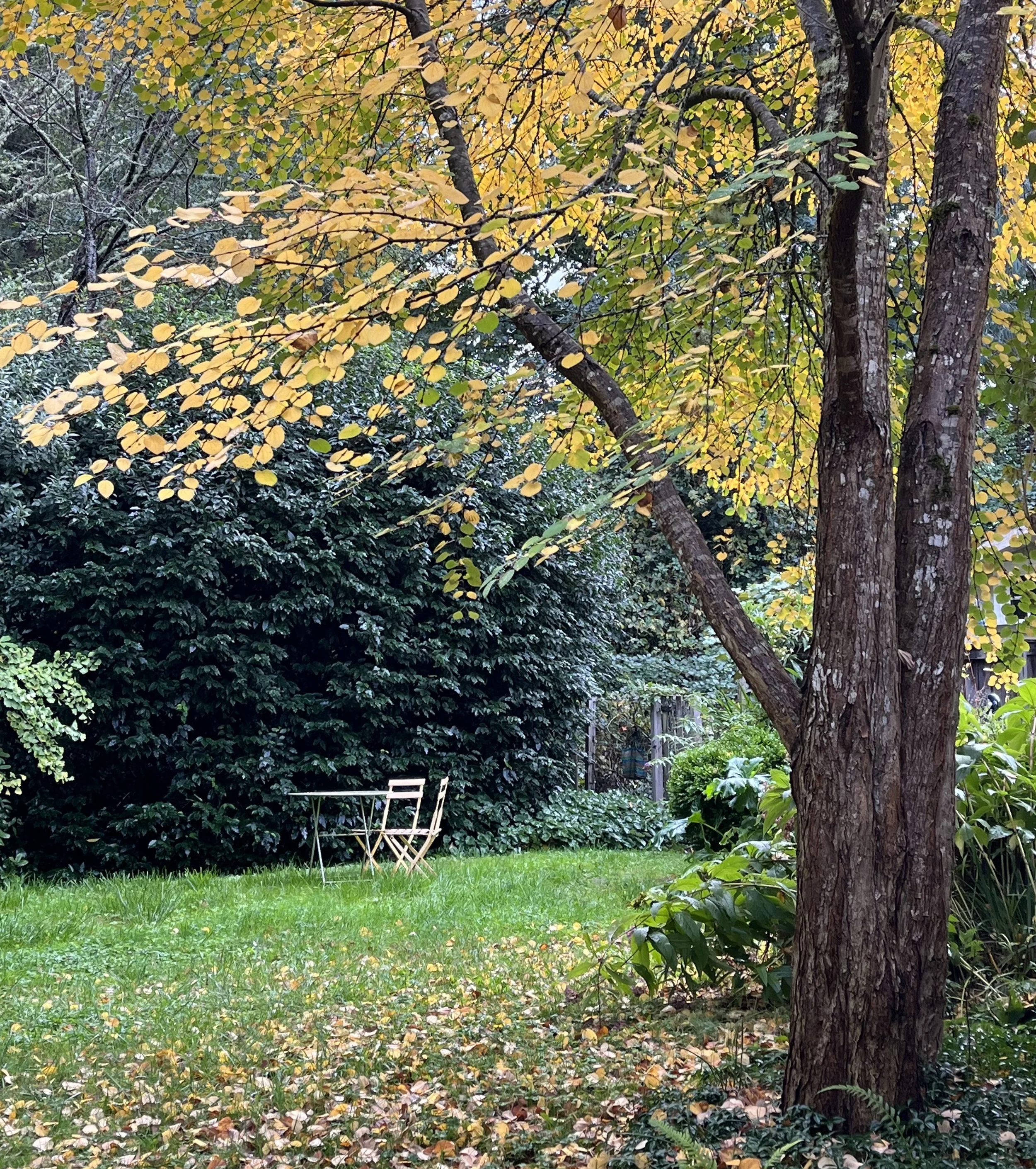 Quiet sitting area — Vashon Island