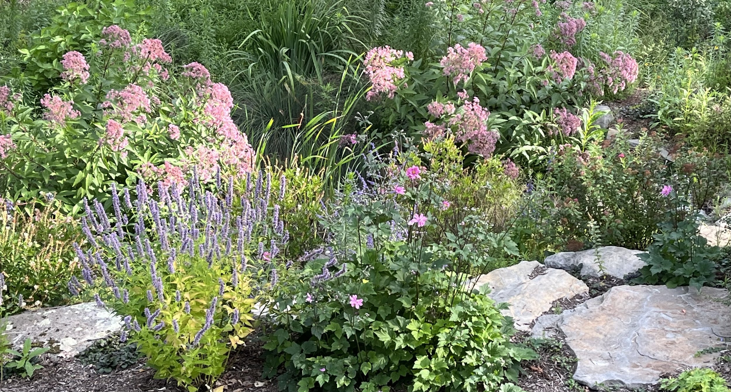 Rain garden — Pennsylvania