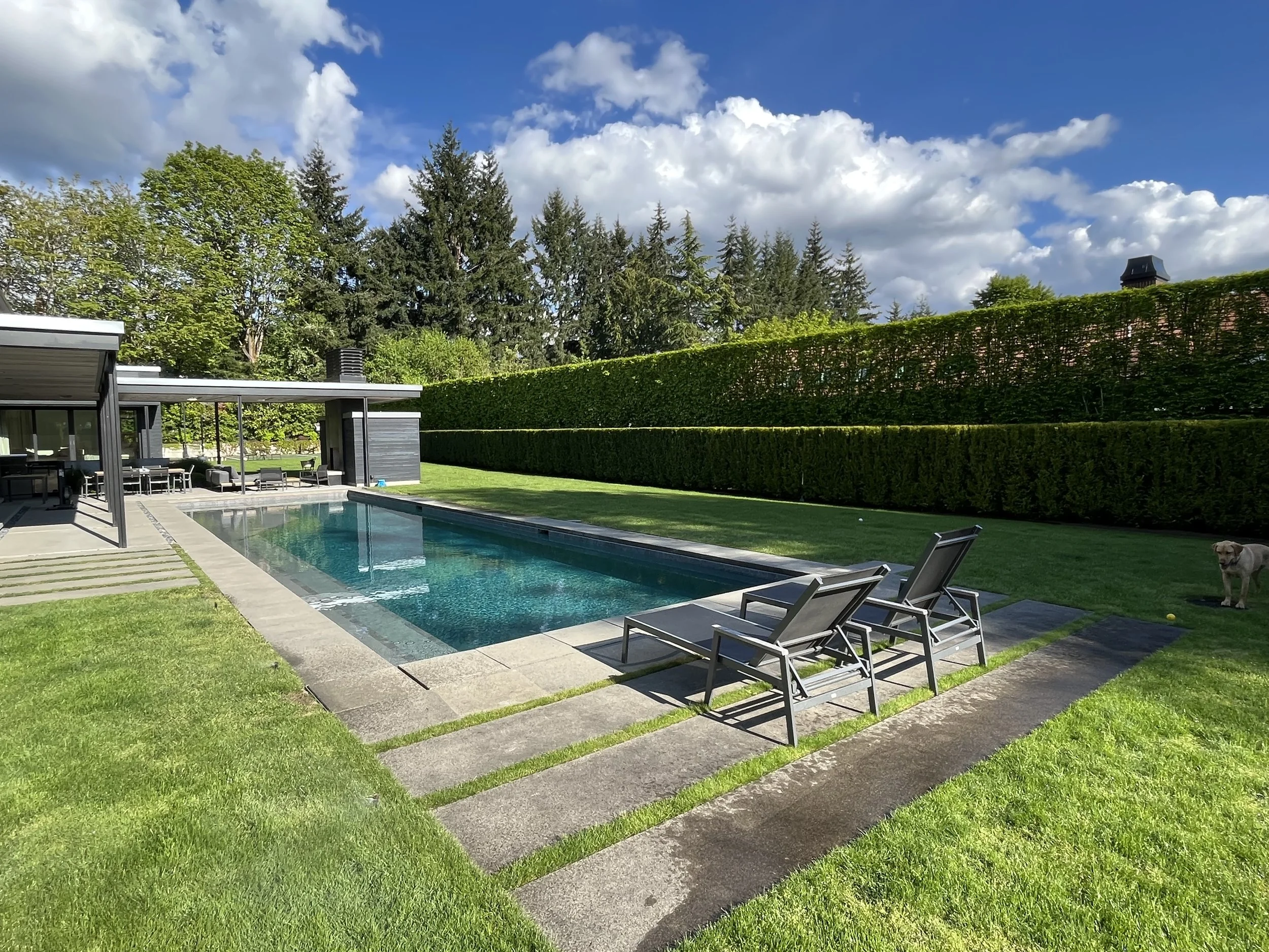 Yew, hornbeam hedges, and pool area — South Mercer Island