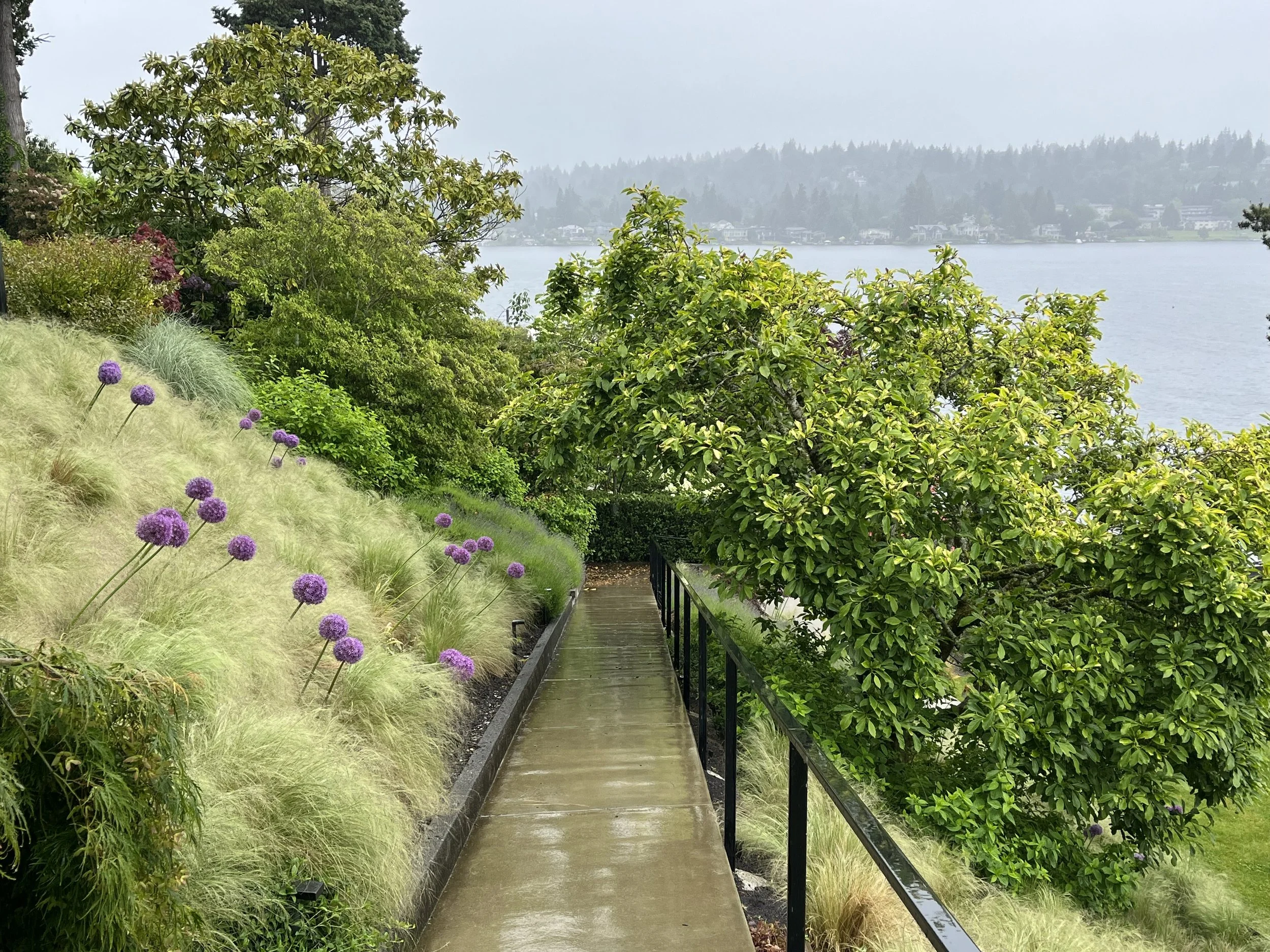 Path to Lake Washington — Enetai