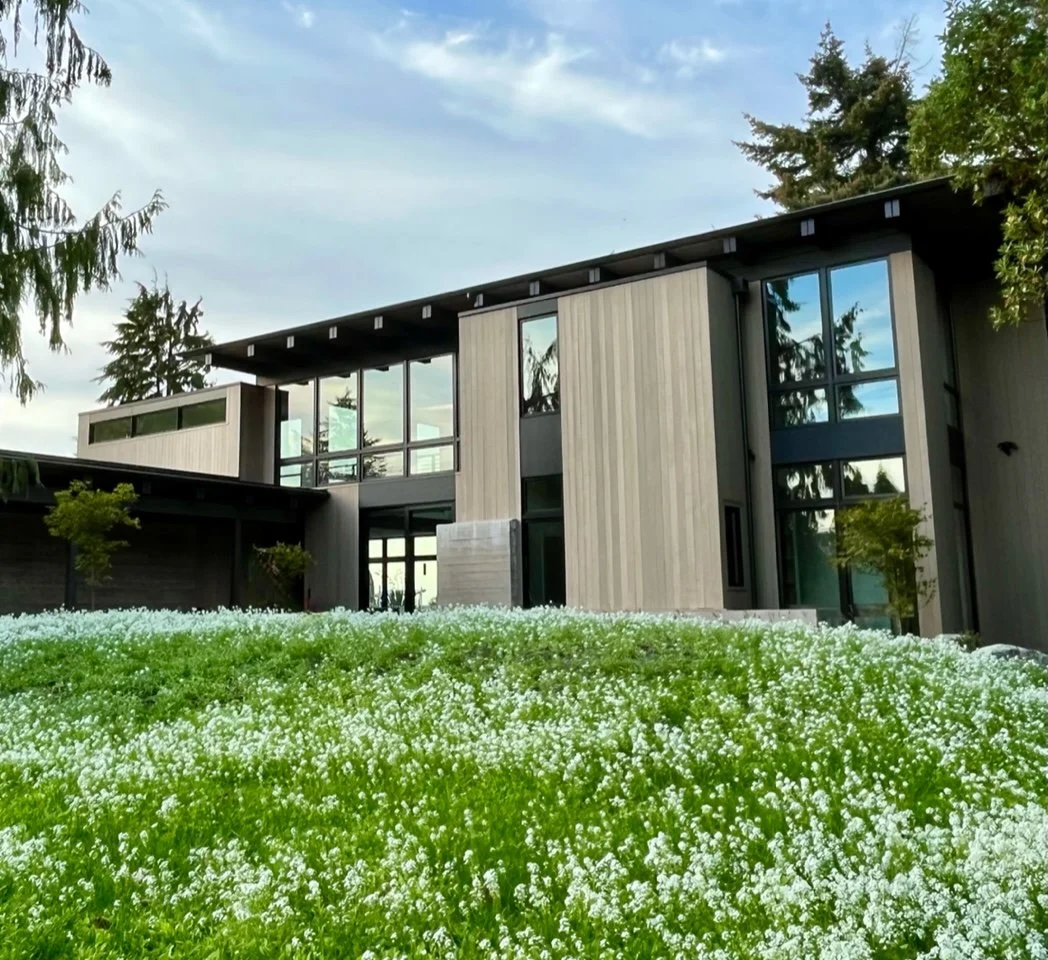 Meadow grass and mound — Vashon Island 