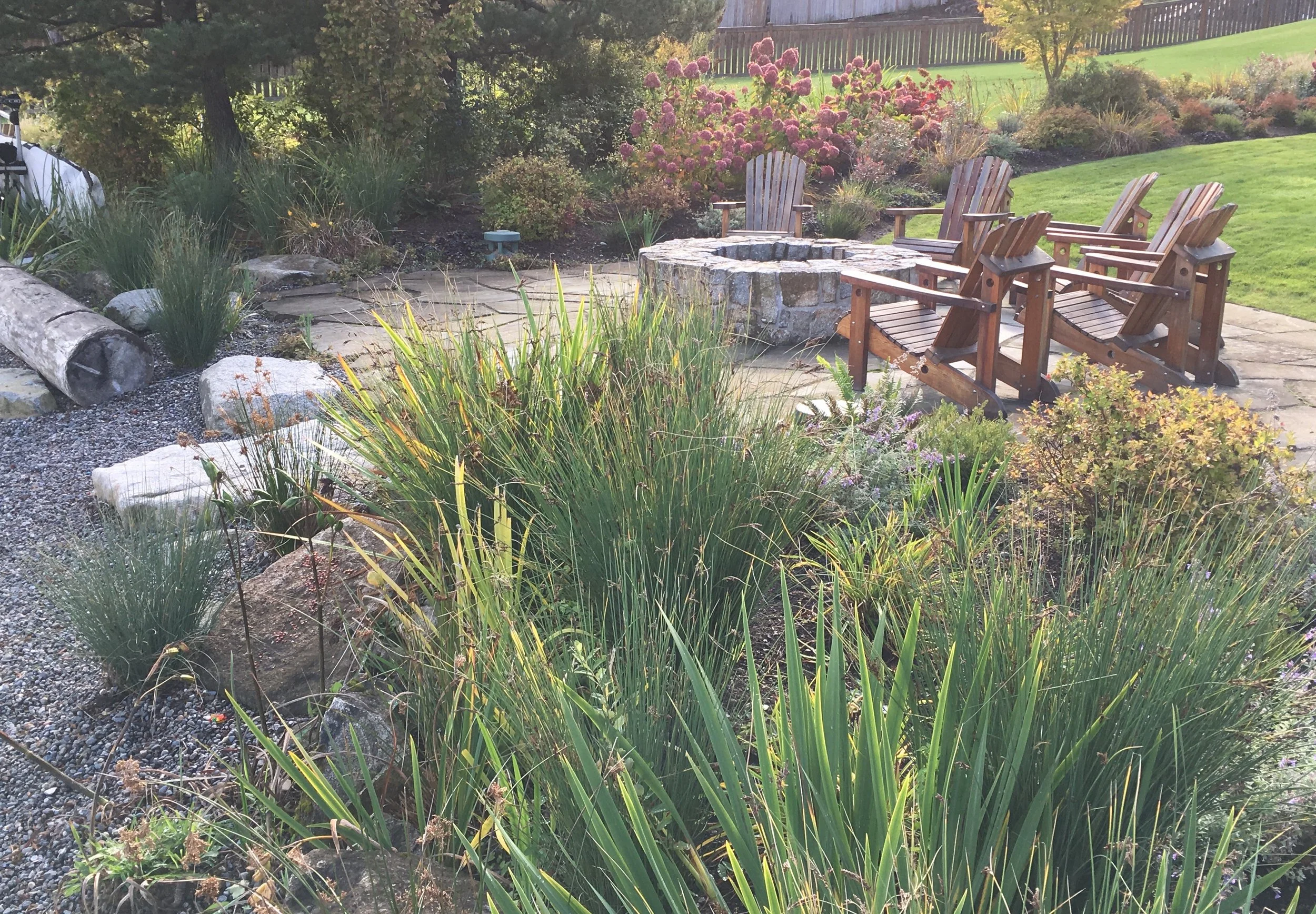 Fire pit by lakeshore — North Mercer Island