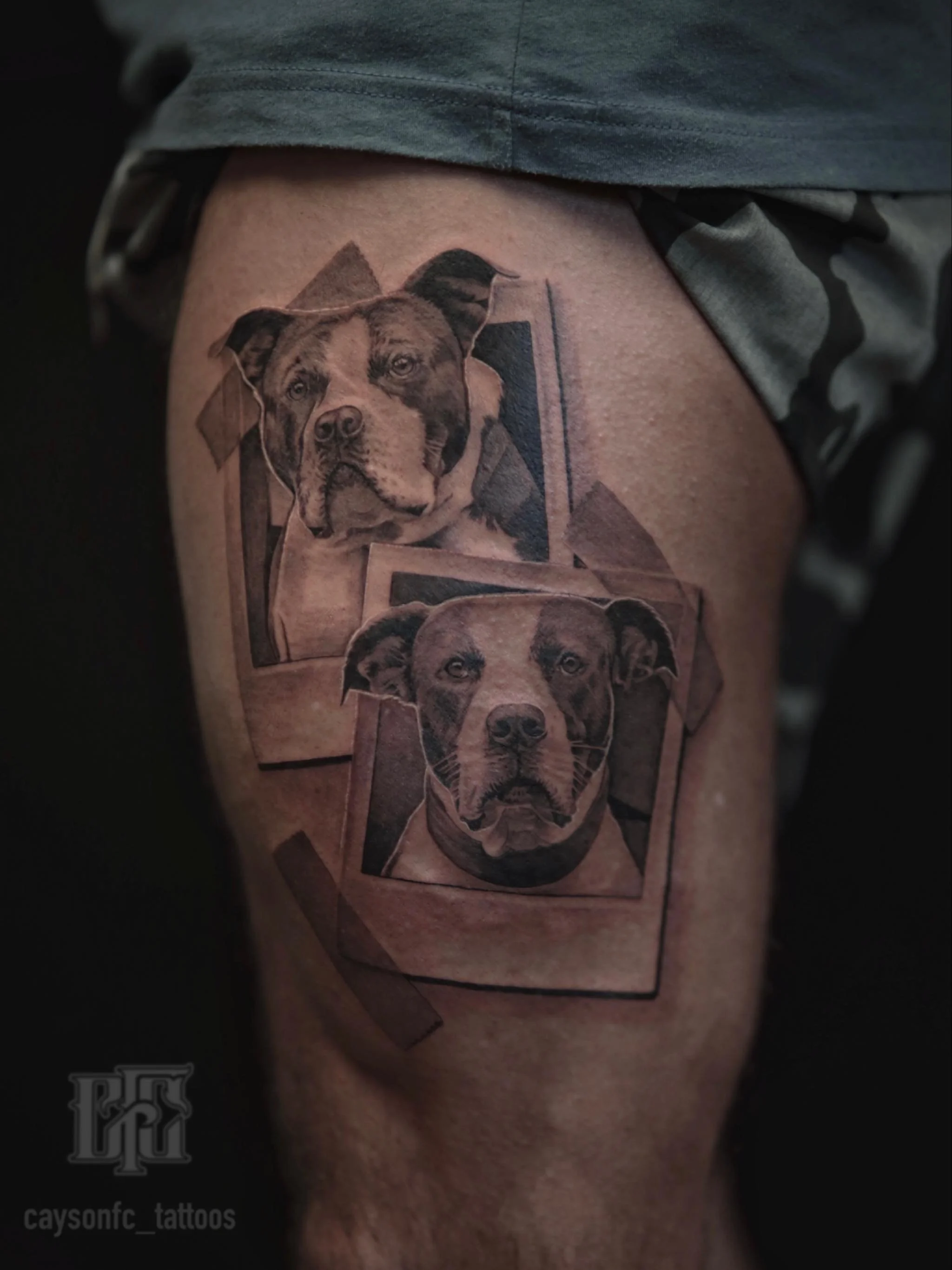 Cassius and Daisy 🐶

Thank you Phil for your trust . Go check out @seattlehousemafia 

#dogportrait #dogportraittattoo #dogtattoos #pitbull #pitbulltattoo #realismtattoo #portraittattoo #seattle #seattletattoo #seattletattooartist #auburn #auburntat
