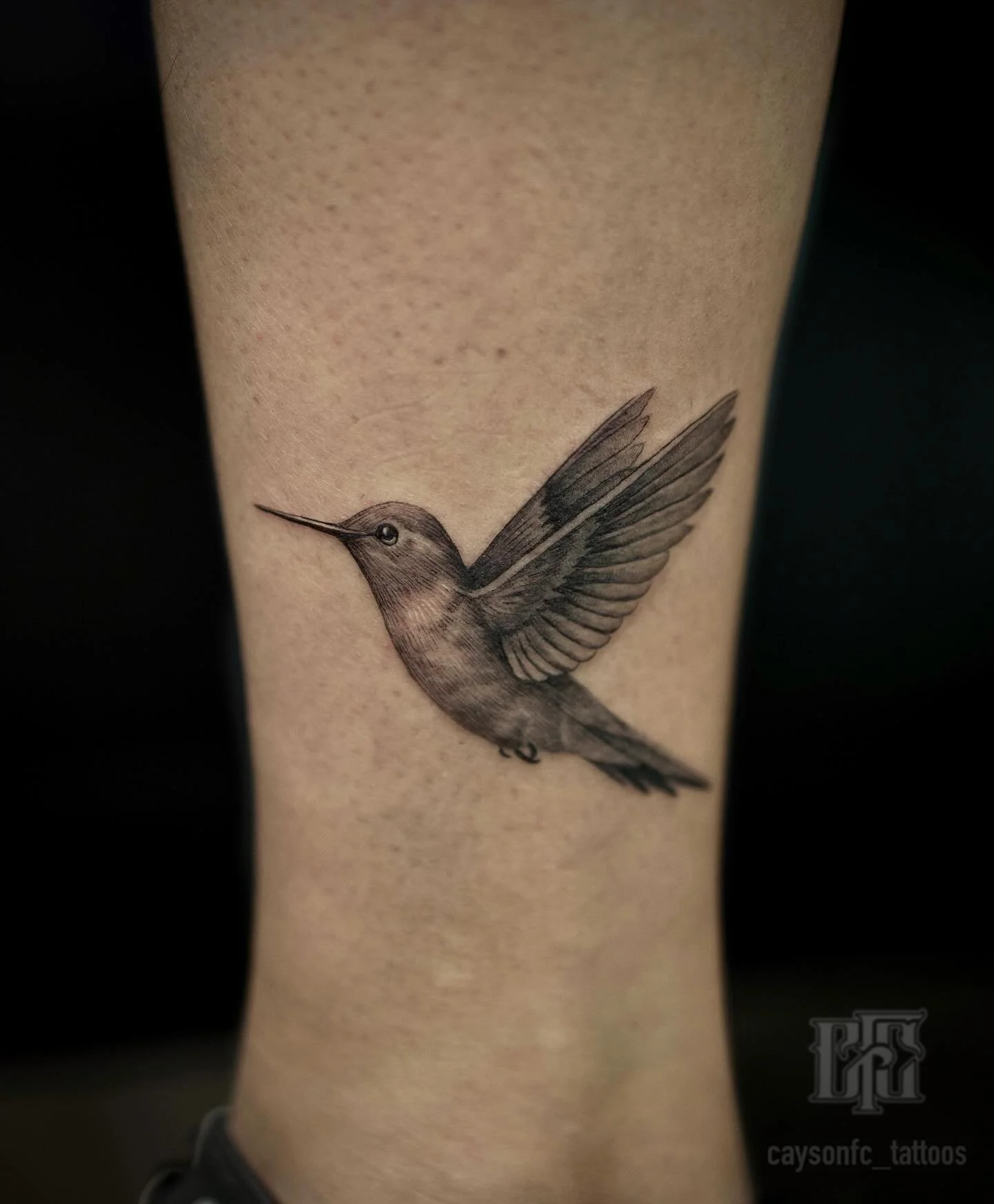 Fine line Hummingbird

#hummingbird #hummingbirdtattoo #finelinehummingbird #realistichummingbirdtattoo #finelinetattooartist #seattle #seattletattoo #seattletattooartist #auburn #auburntattoo #auburntattooartist