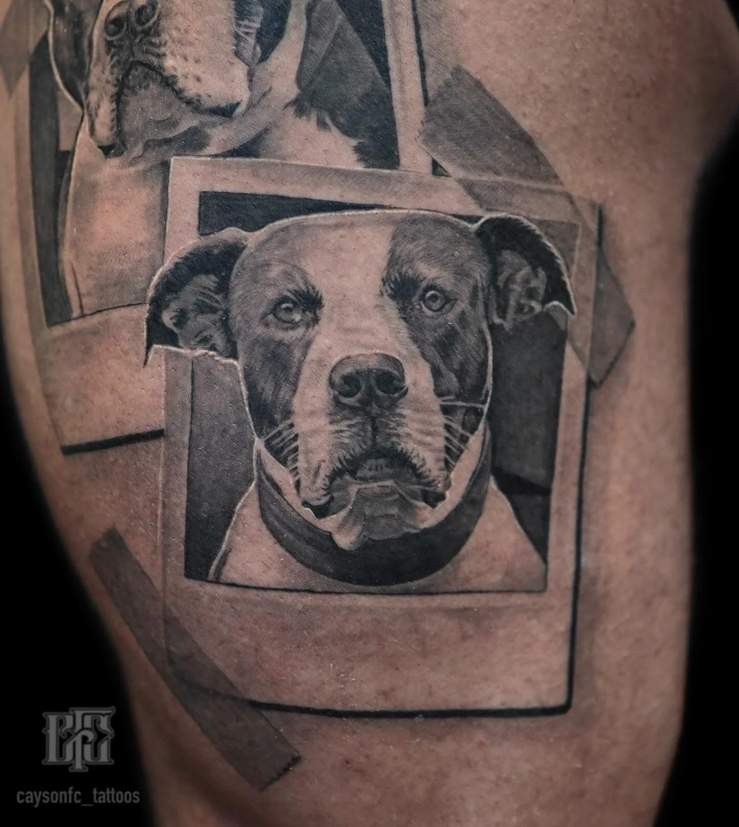 Healed photos🐶

#dogportrait #dogportraittattoo #healedtattoo #portraittattoo #seattle #seattletattoo #seattletattooartist #auburn #auburntattoo #auburntattooartist