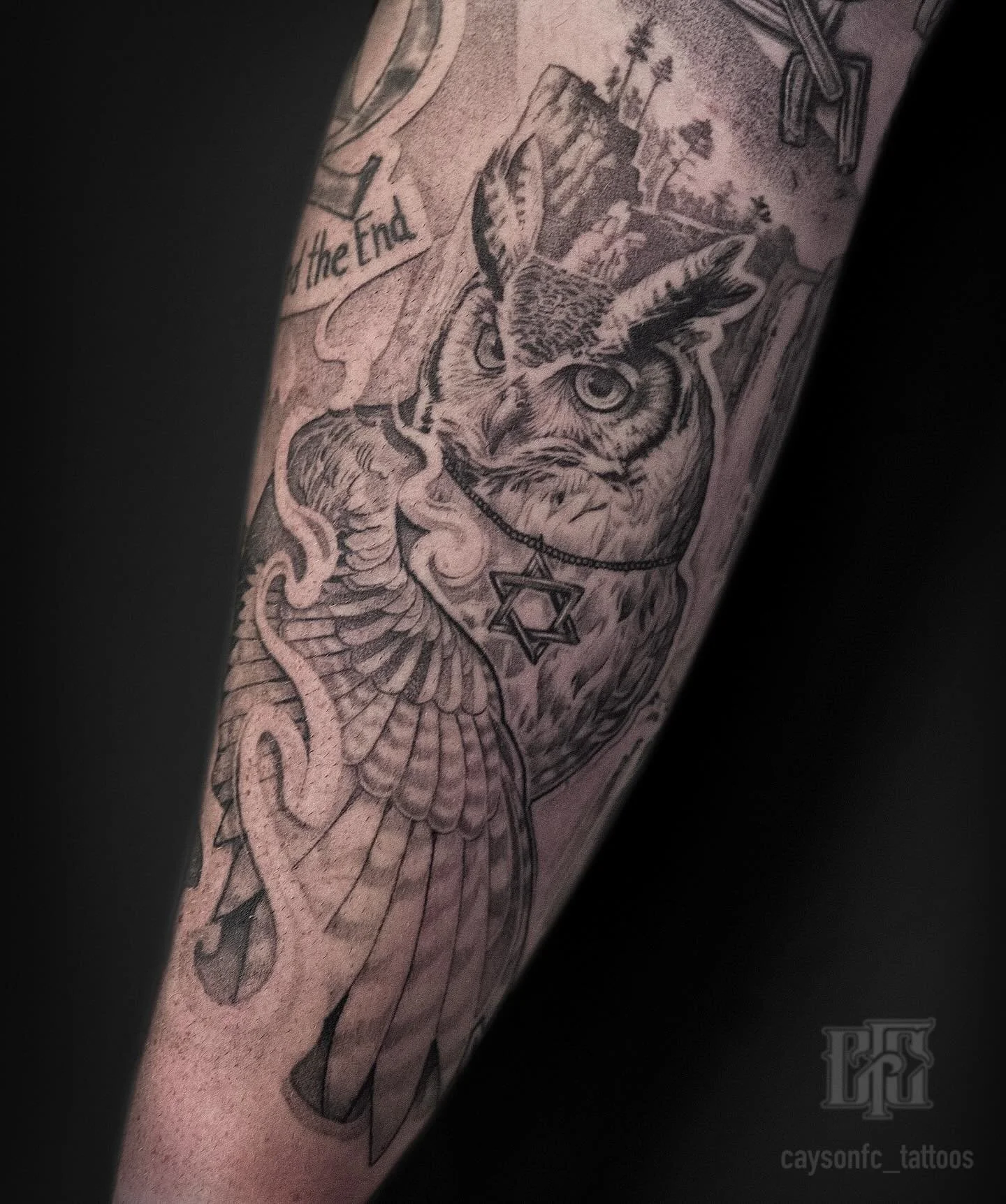 1 1/2 years healed owl 🦉

#healedtattoo #tattoo #owltattoo #detailedtattoo #finelinetattoo #finelinetattooartist #finelineowltattoo #seattle #seattletattoo #seattletattooartist #seattletattooartists #auburn #auburntattooartists #auburntattoo