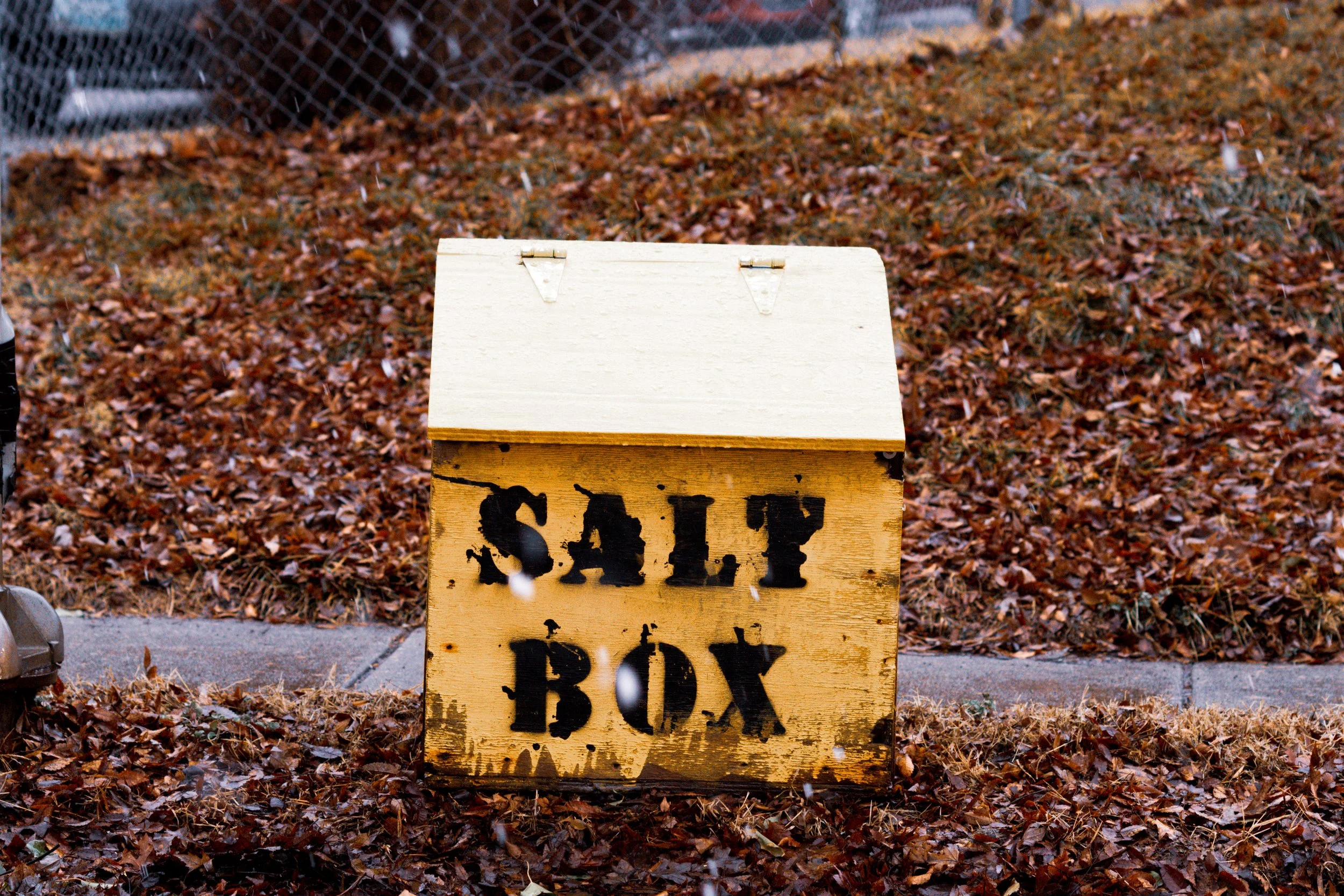 Salt Box (7 Day Limited Print)