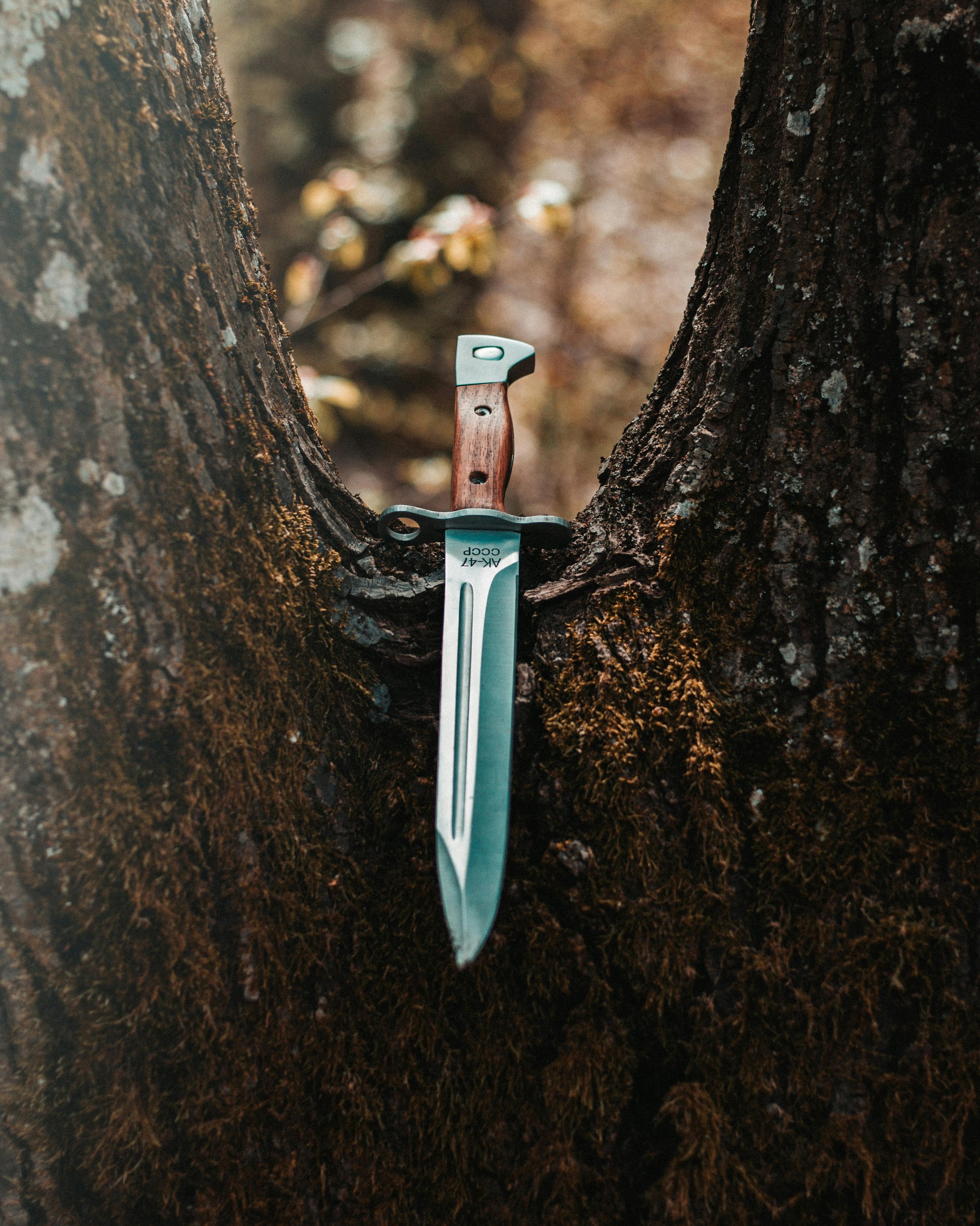 Dagger Design 1.jpg