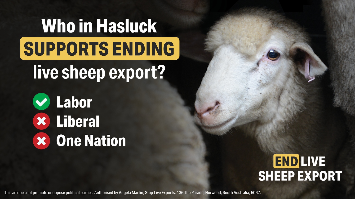 Where do the parties in Hasluck stand? — Keep The Sheep Here