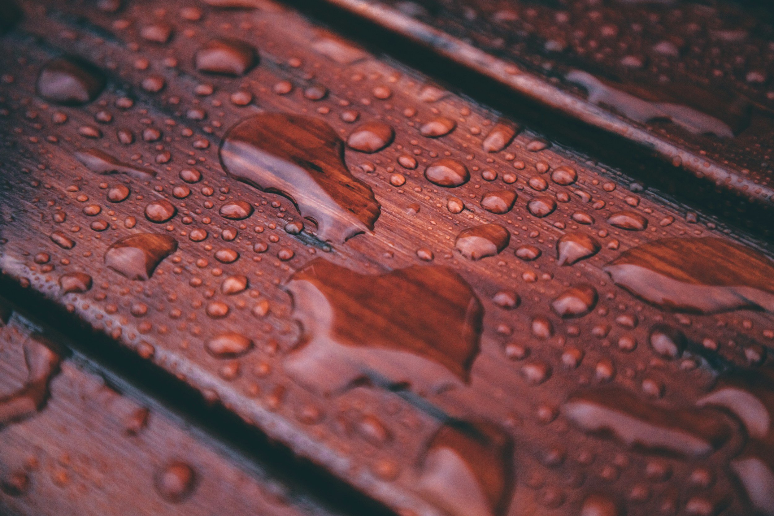 Close-up of a wooden surface with raindrops on it, showing water beads scattered across the wood's grain.