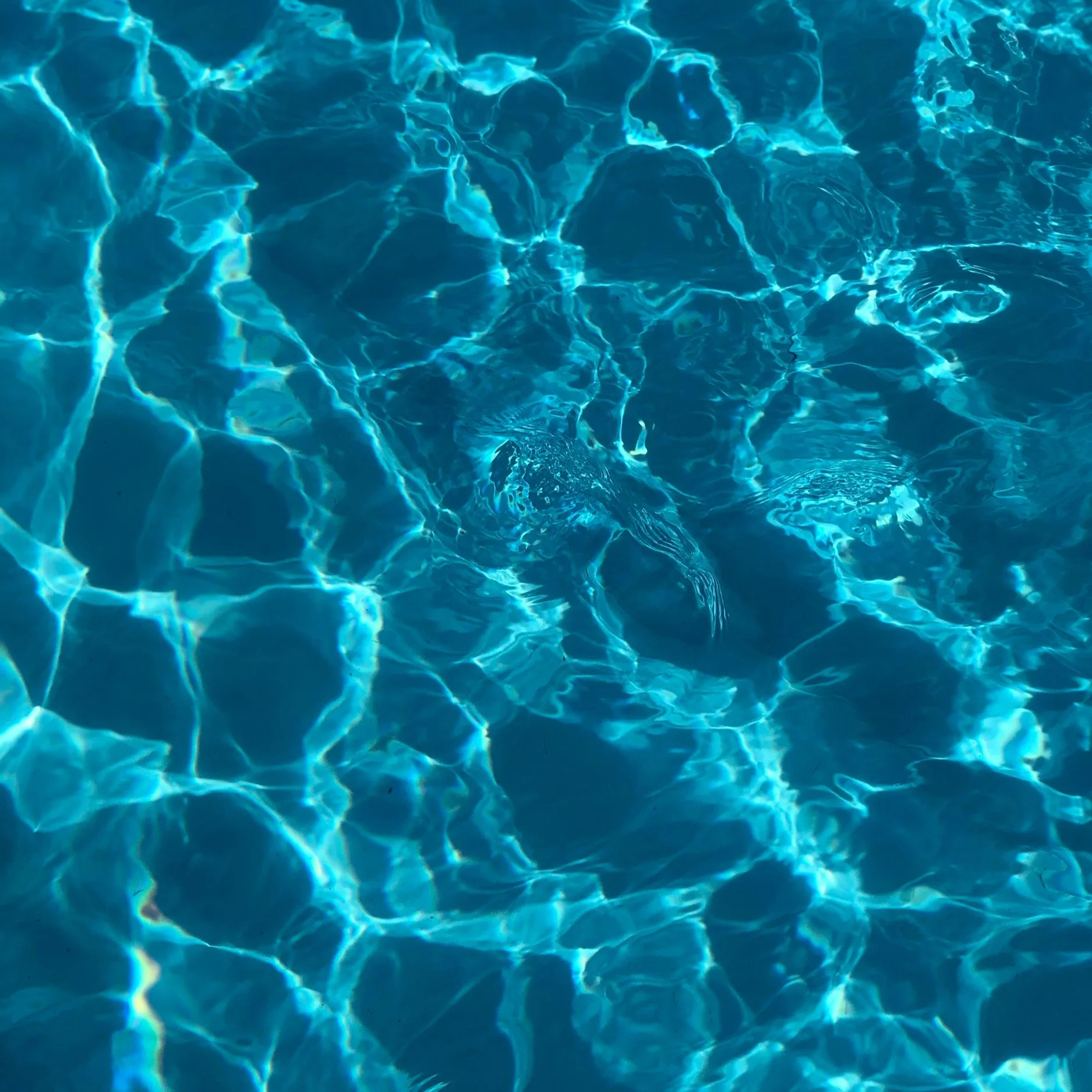 Blue water in a swimming pool with light reflections and ripples.