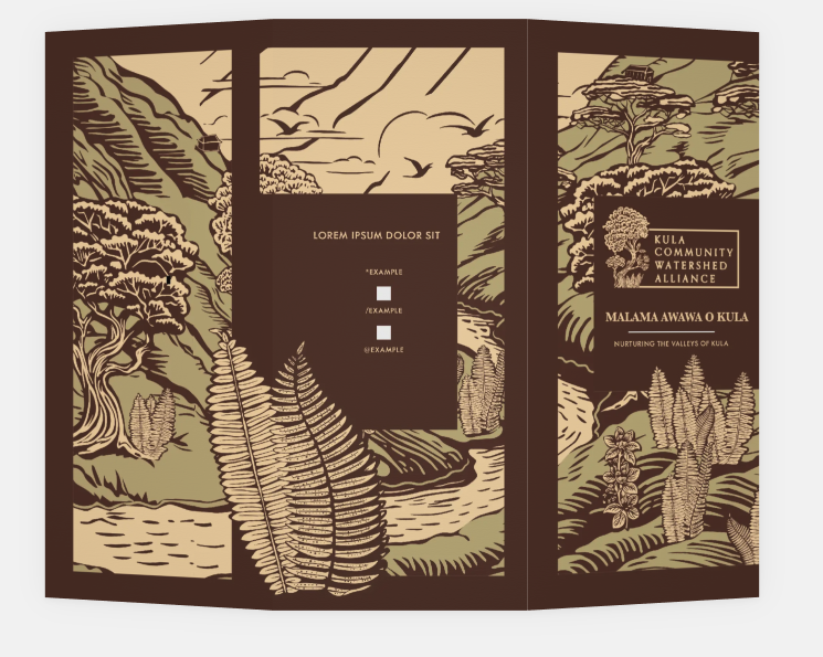 Tri-fold brochure design