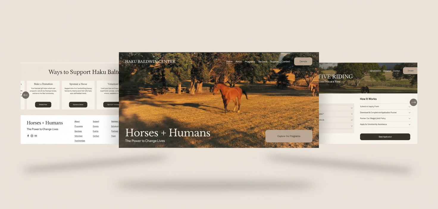 Haku Baldwin Center website, additional view