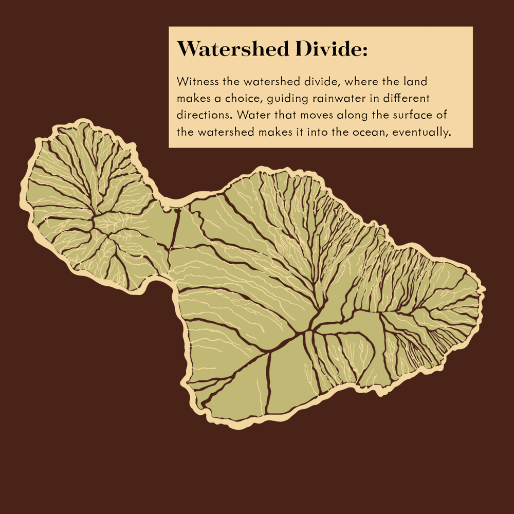 What is a watershed, educational graphic 4