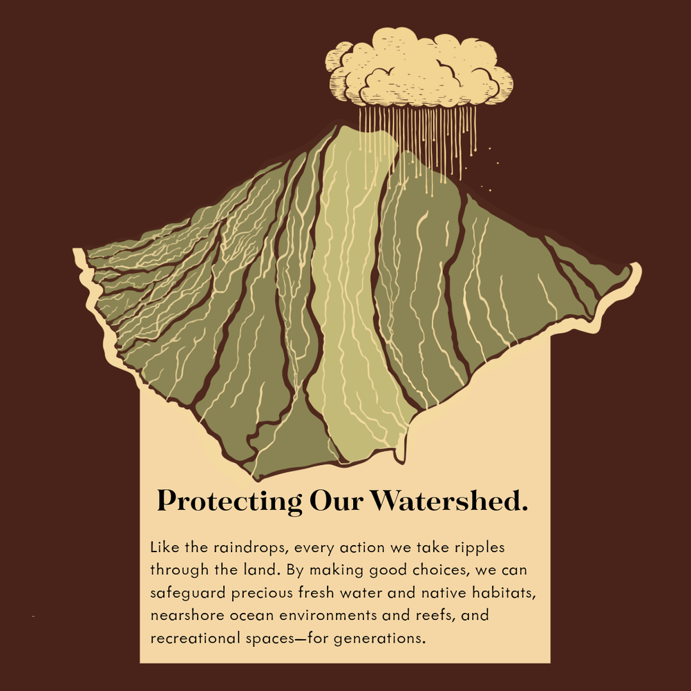 What is a watershed, educational graphic 6