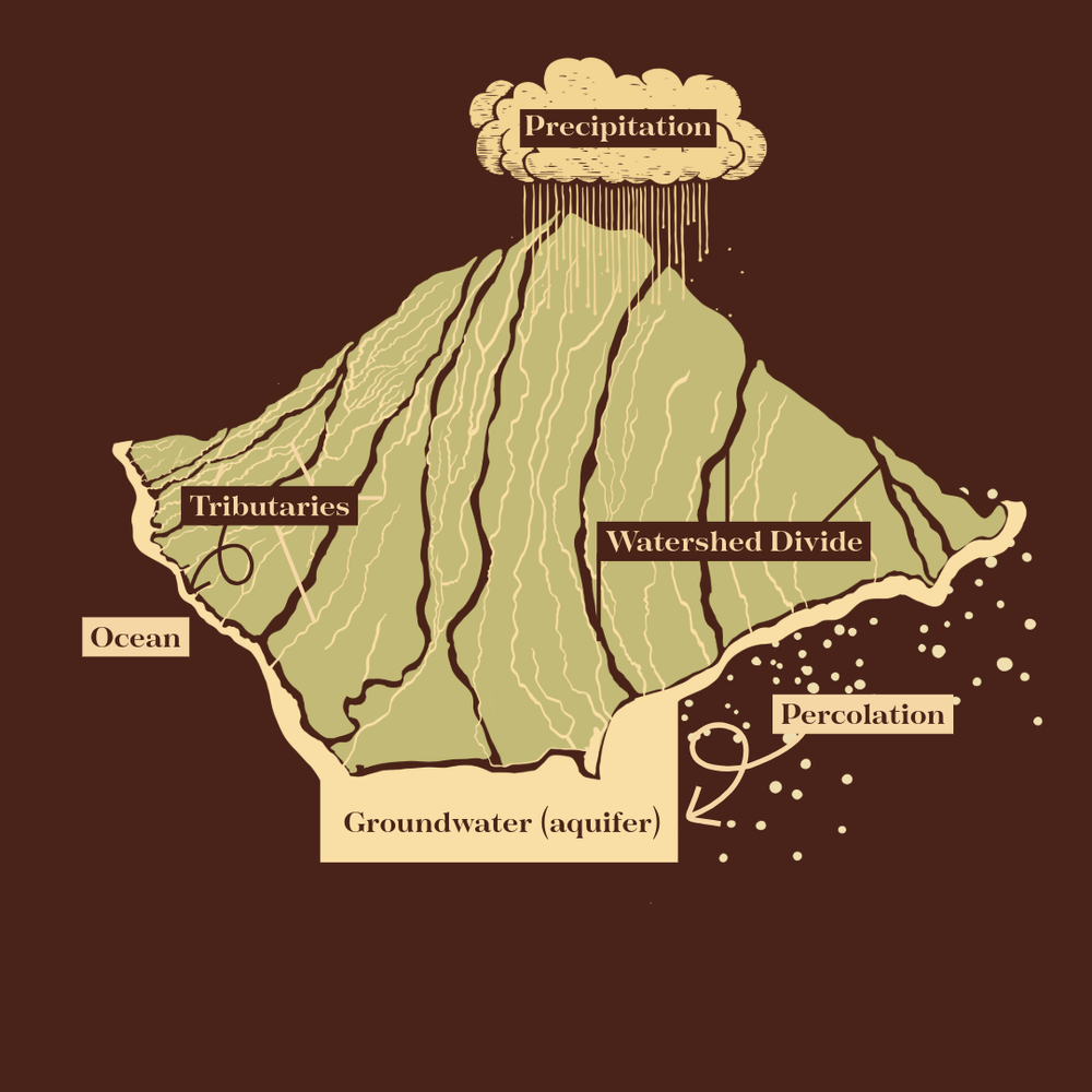 What is a watershed, educational graphic 7