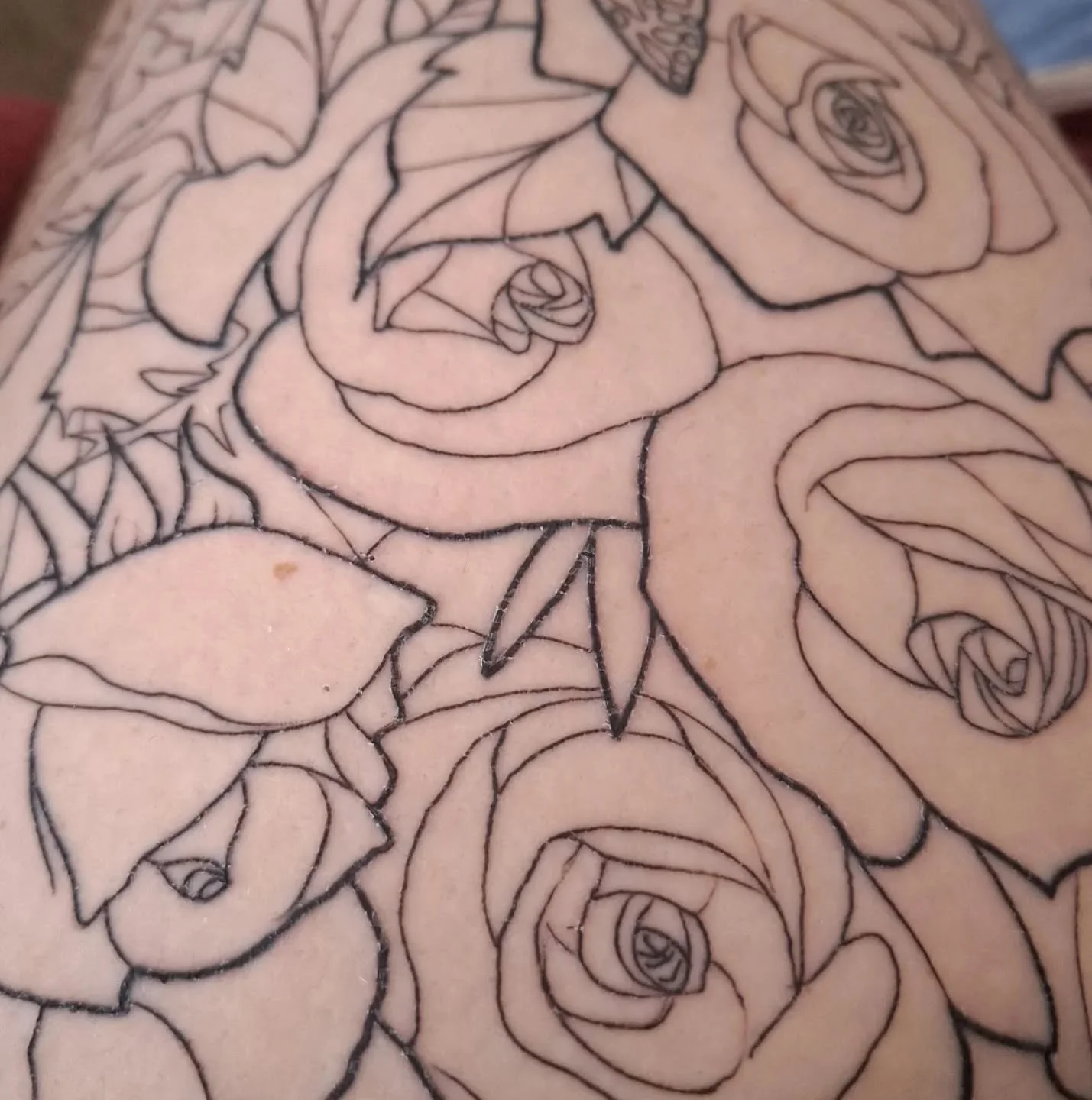 🦋 Transformation 🦋

Nearly 7 days since the outline got done and things finally feel right - my left side doesn't feel like it's living a different life - and that's just from an outline.

Sometimes you know your body is missing its decorations or 