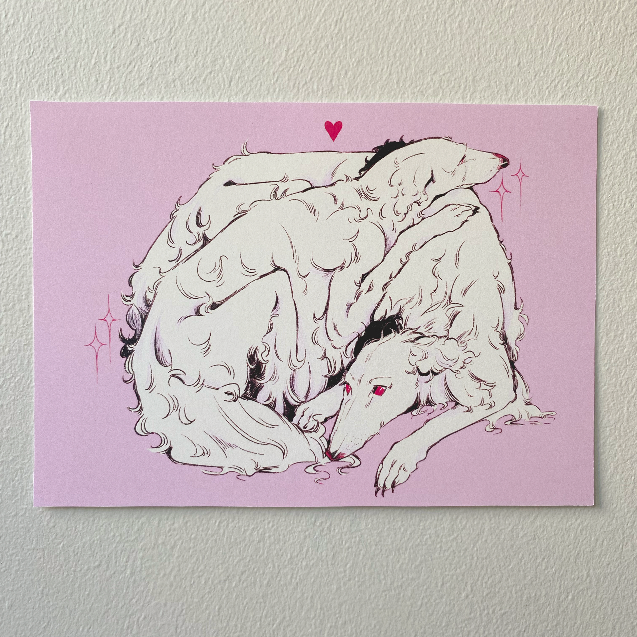 PINK INT PRINT PR.png