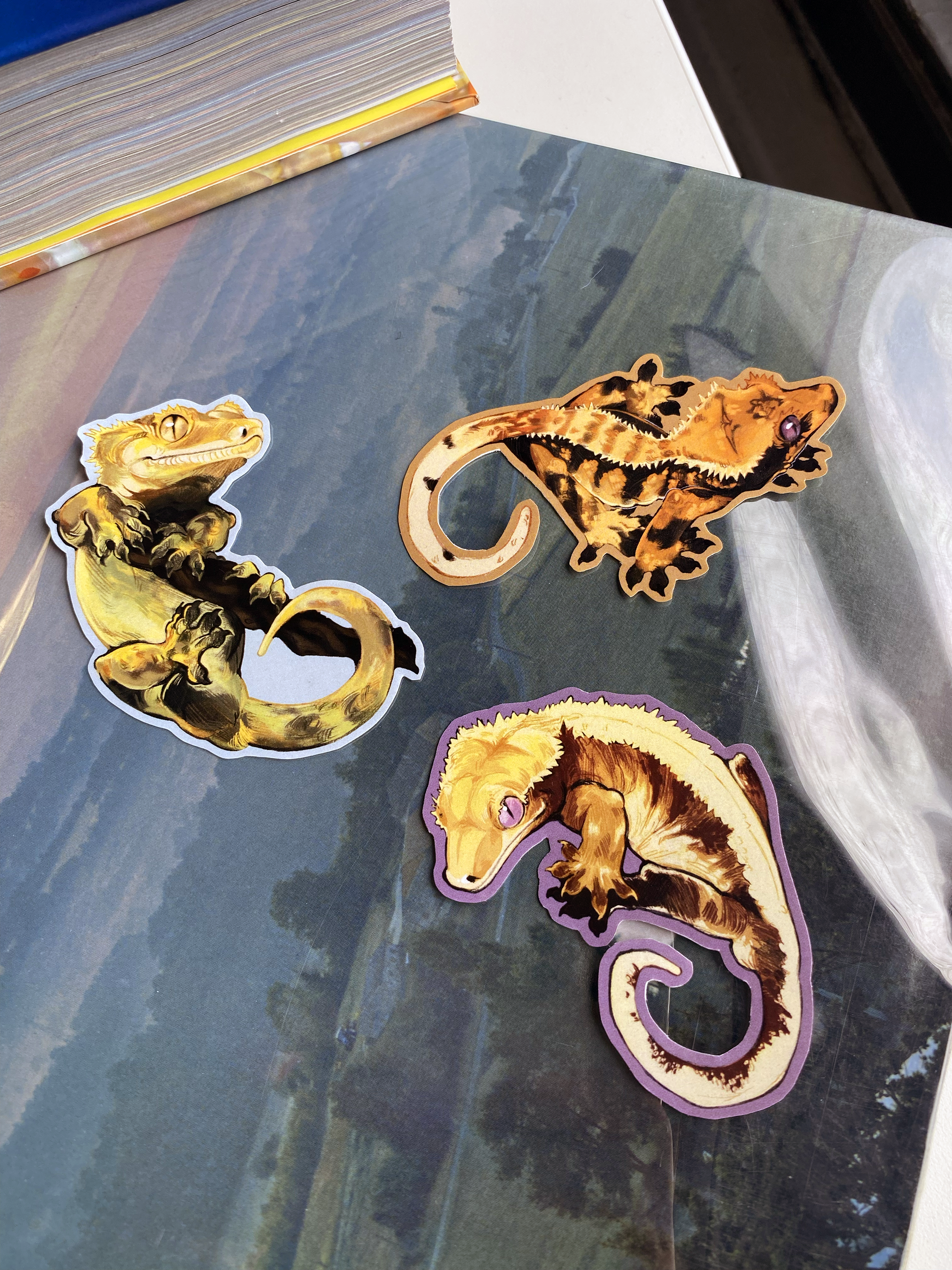 gecko pack hand.png