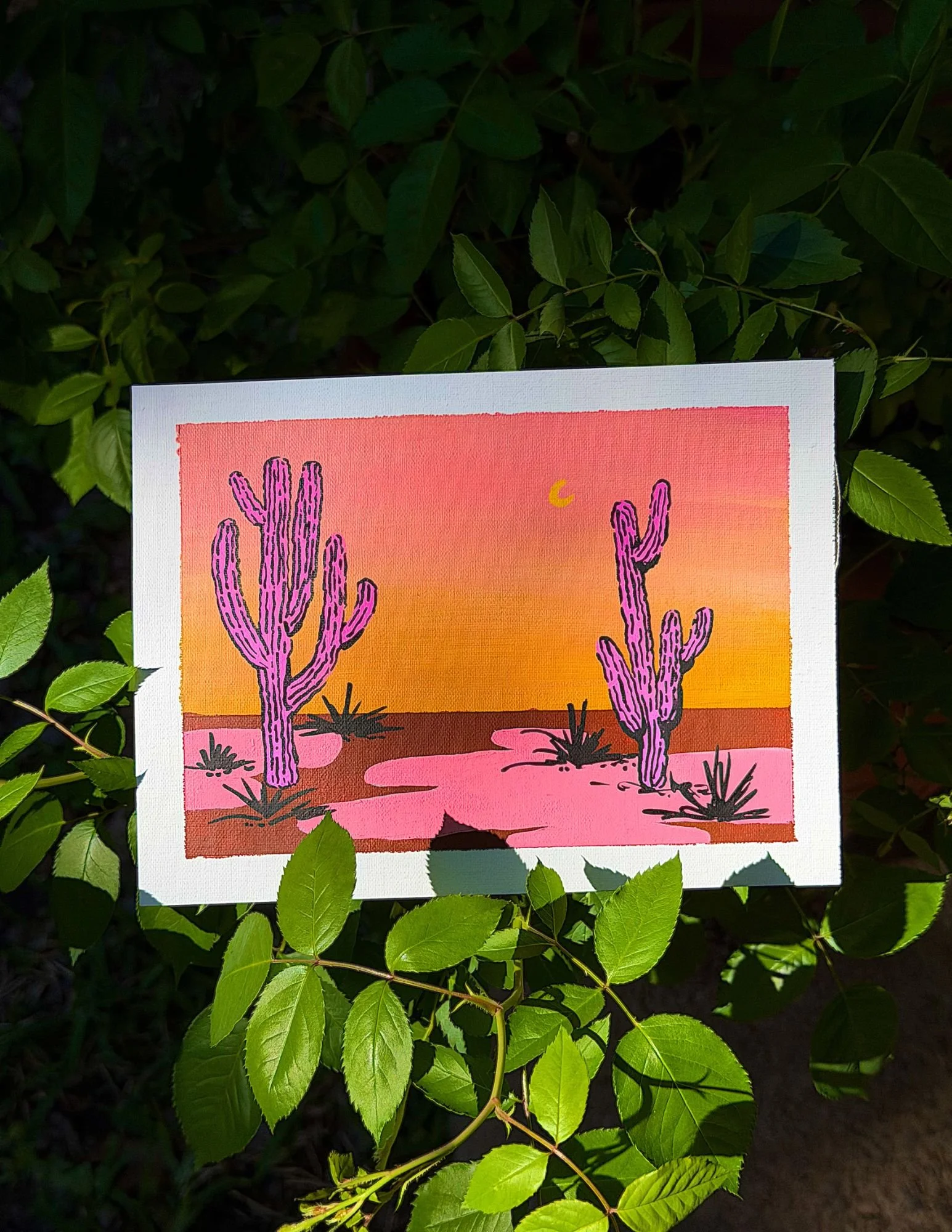 Pink Cactus Sunset (Horizontal) - Original