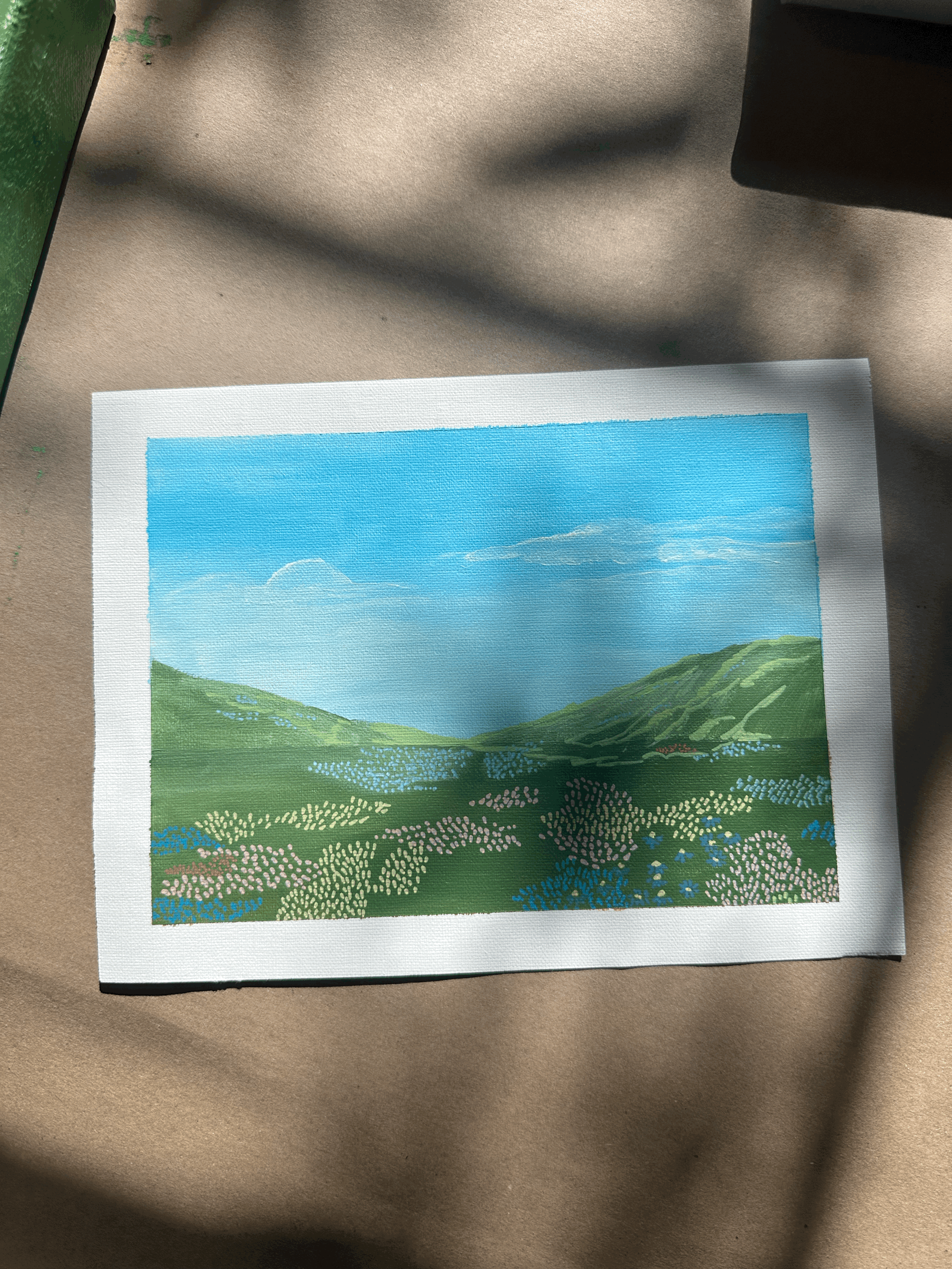 Hilly Wildflower Views