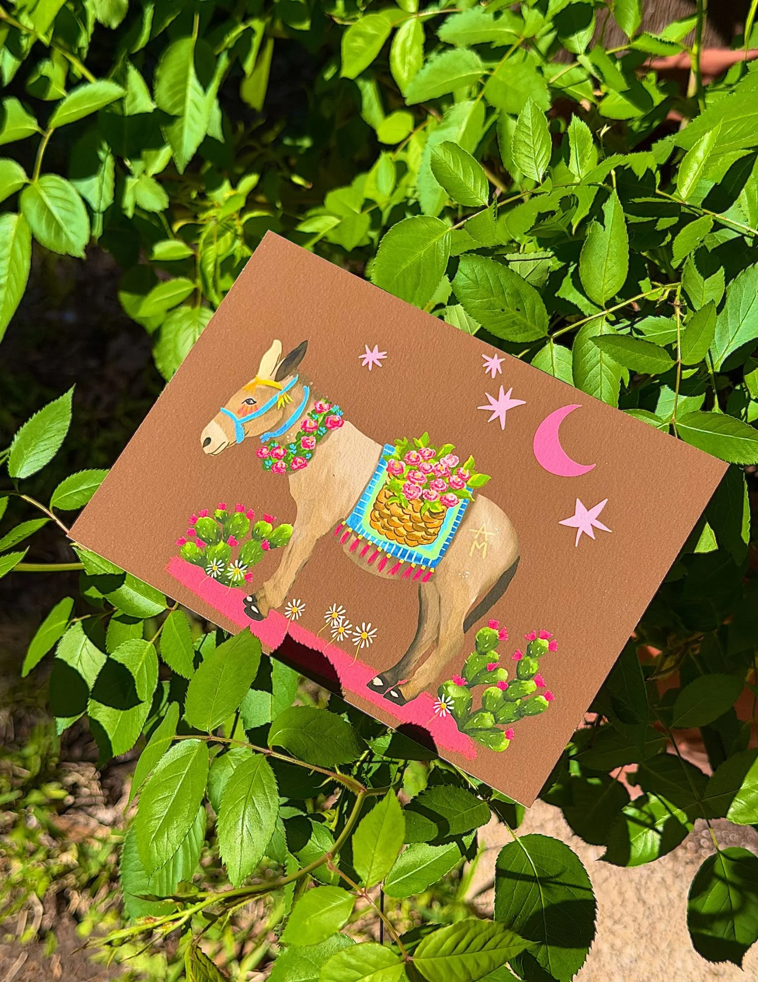 Mexican Donkey Art Print